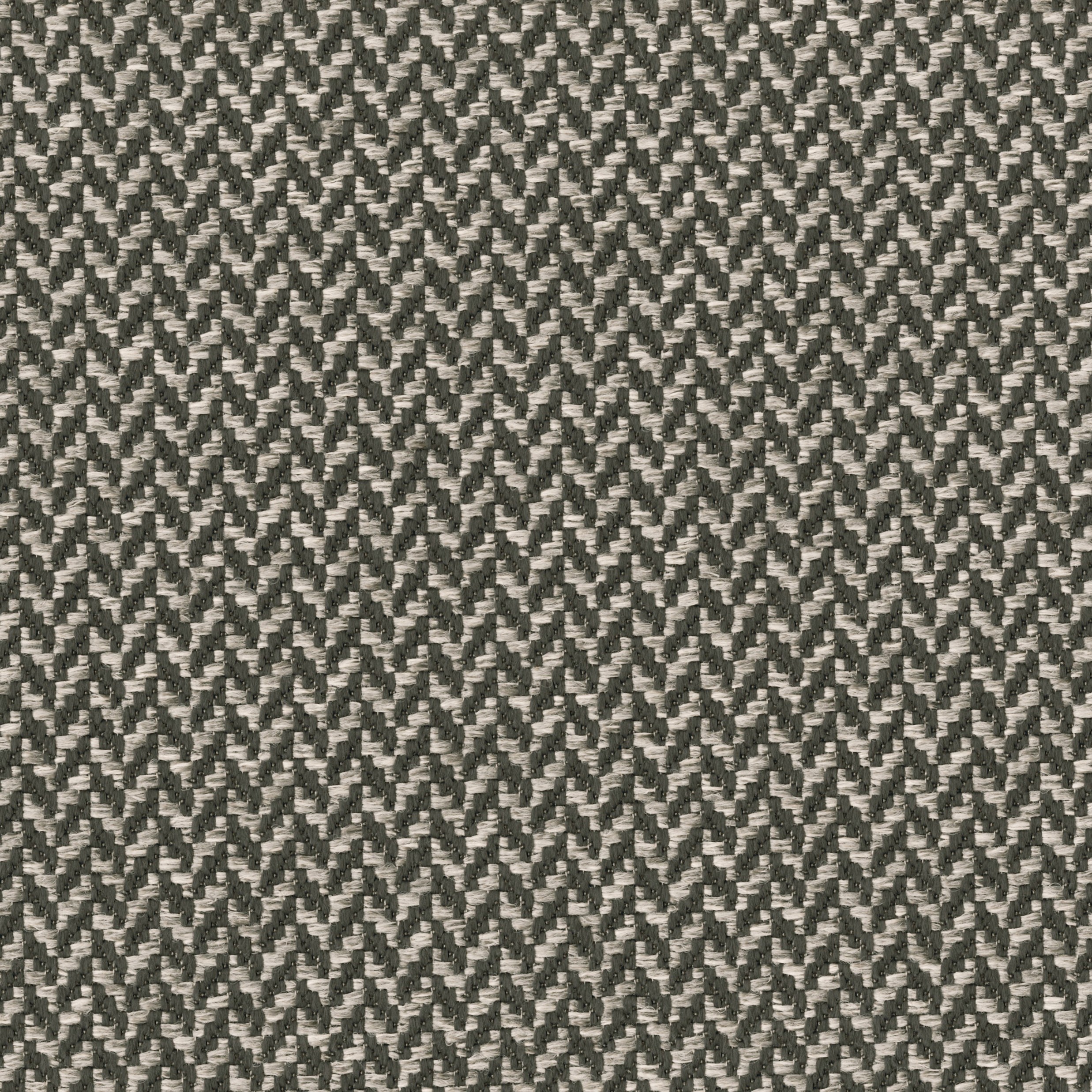 1207-08 Brushstroke - Siamese Cat Swatch