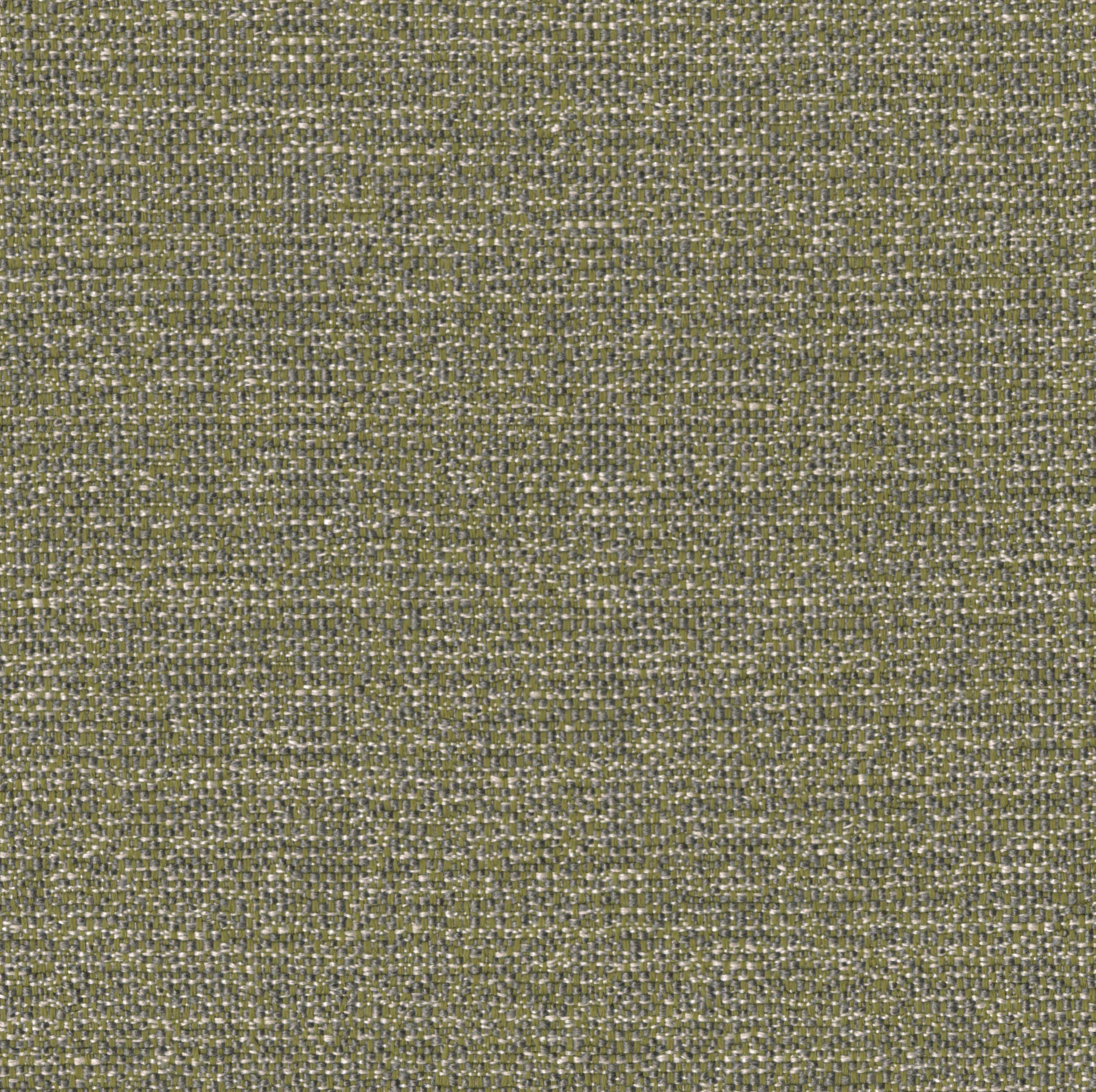 1225-07 Shiloh - Chimichurri Swatch