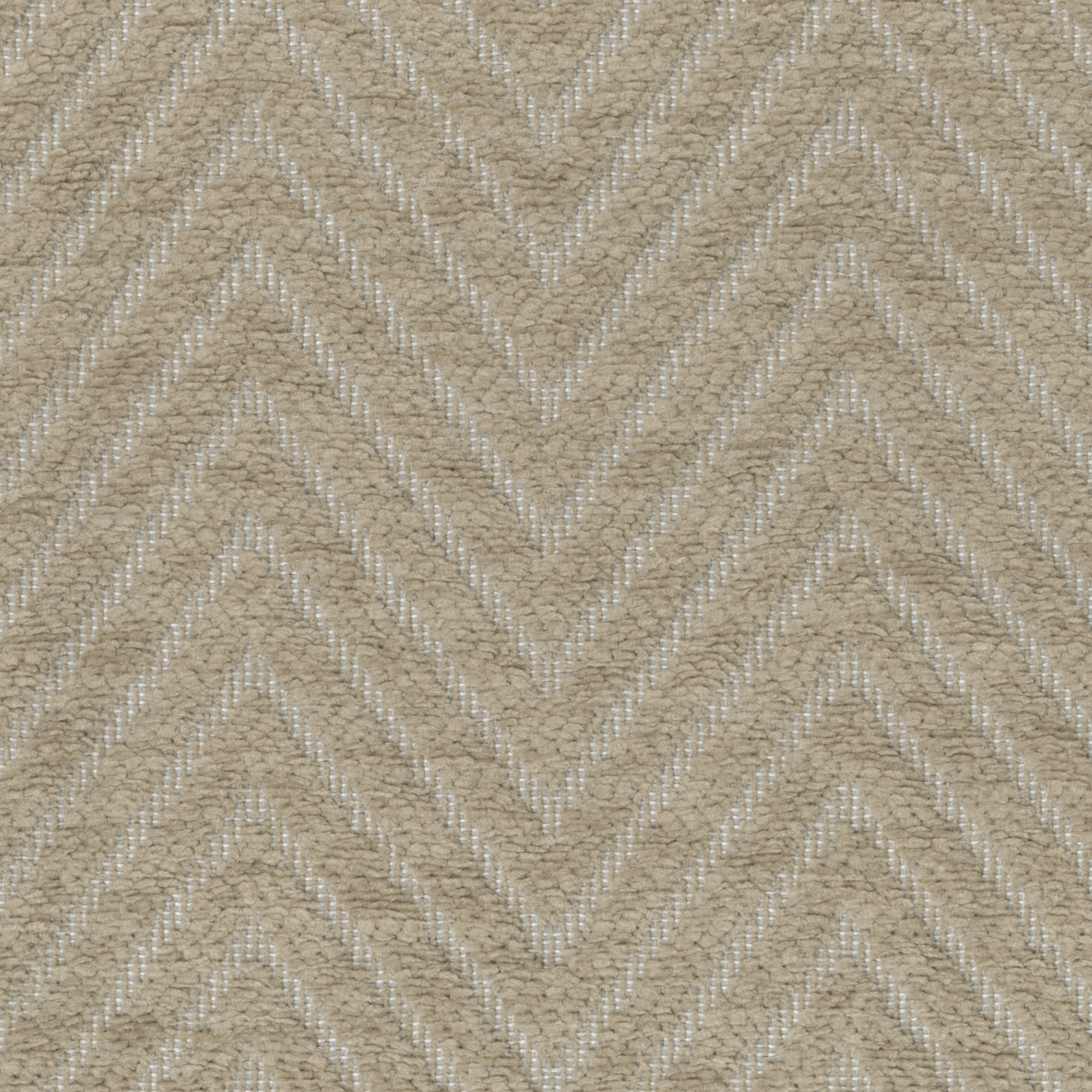 1242-03 Whisper - Lion Cub Swatch