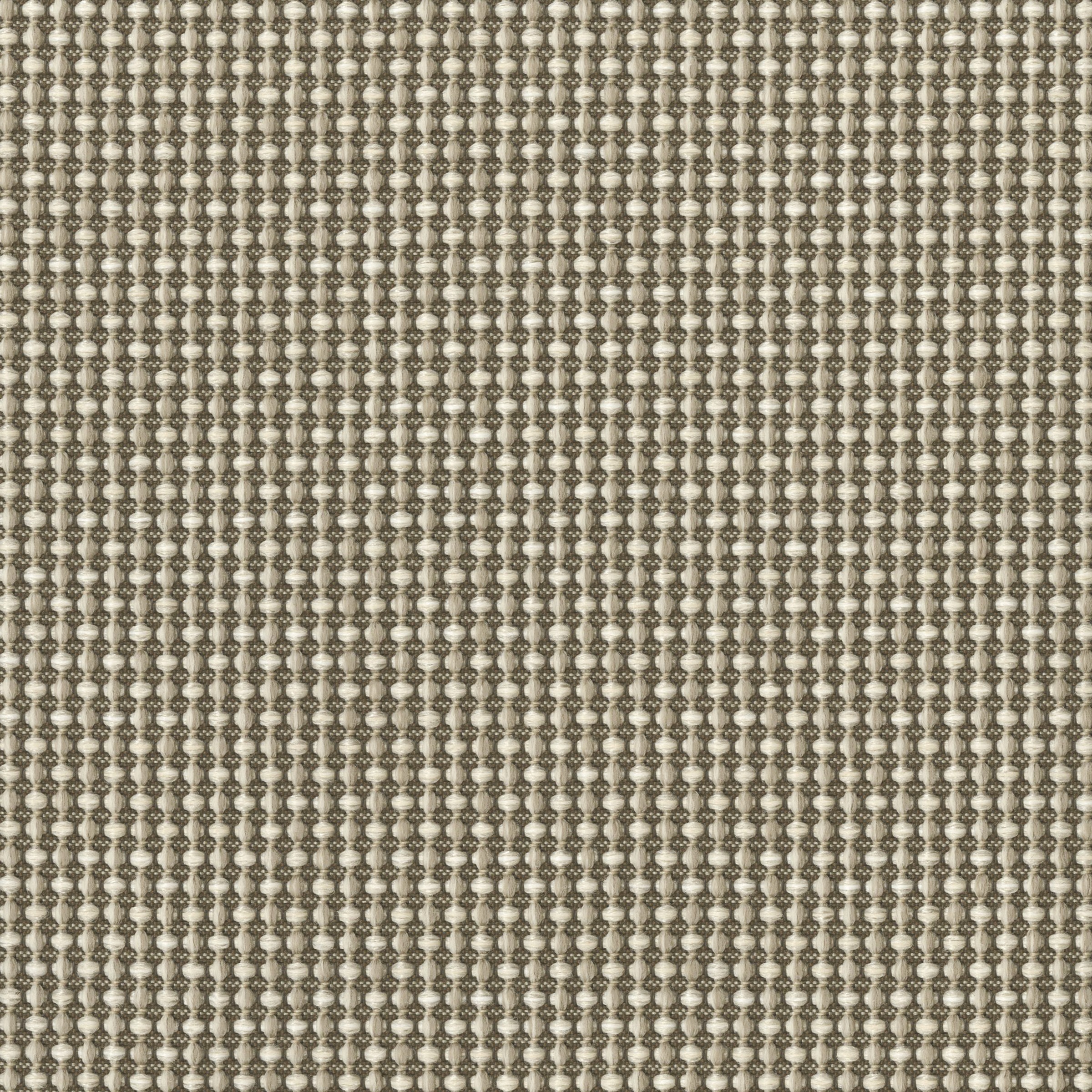 1248-01 Luna - Sand Dollar Swatch