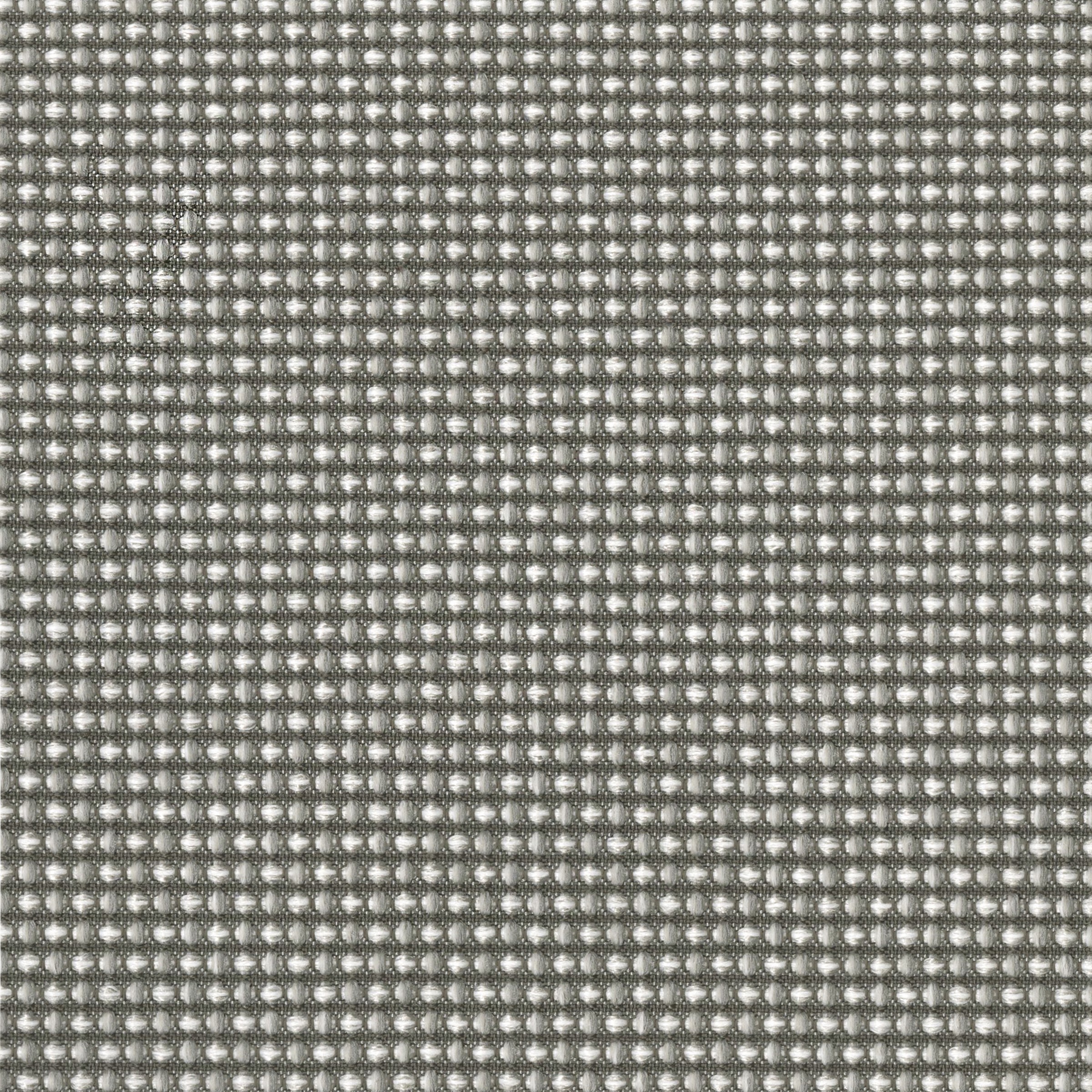 1248-02 Luna - Silverfox Swatch