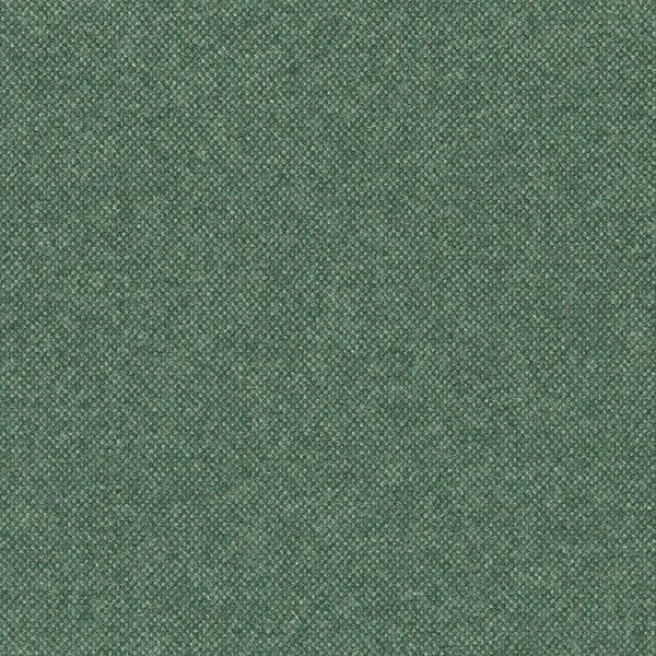 1556-09 Loch - Ficus Green Swatch