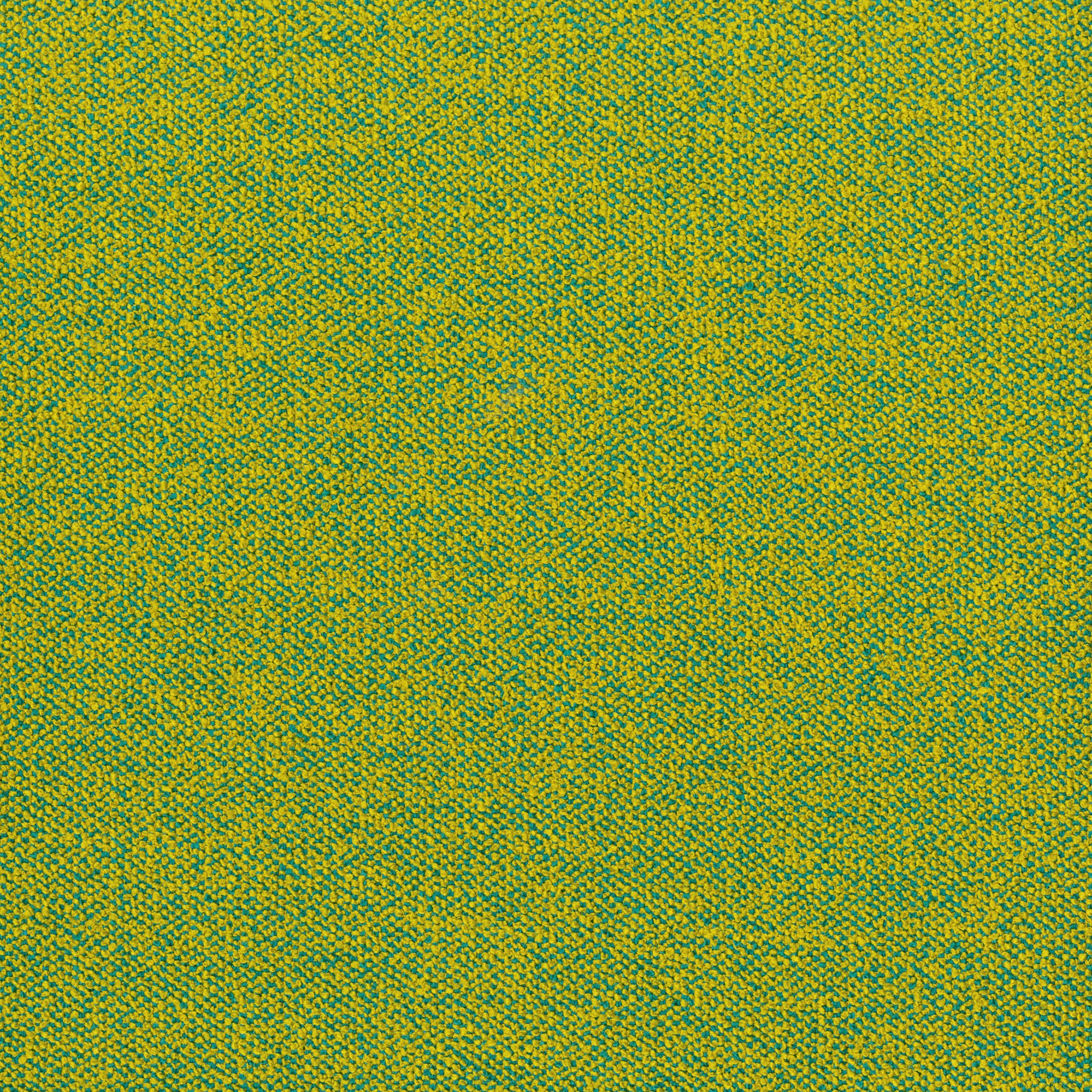 2311-06 Holbrook - Wild Lime Swatch