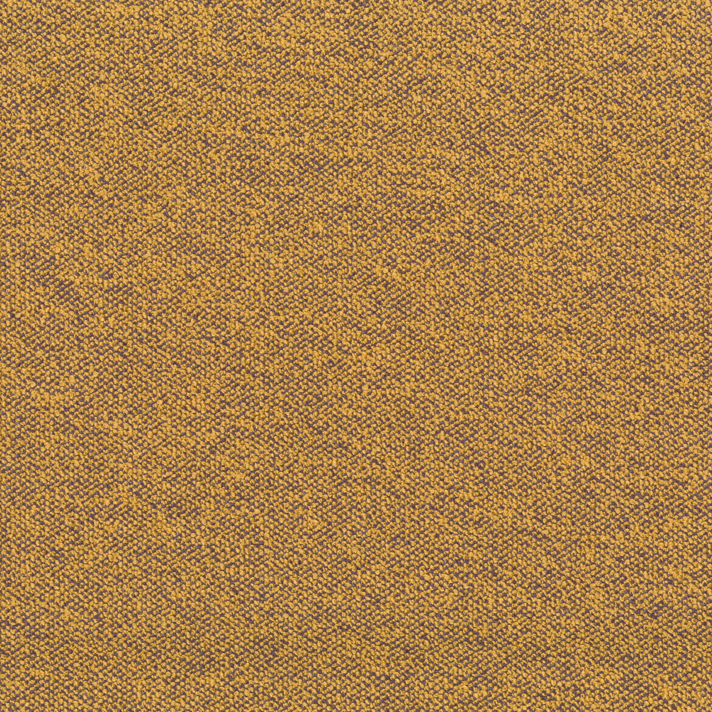 2311-07 Holbrook - Whiskey Swatch