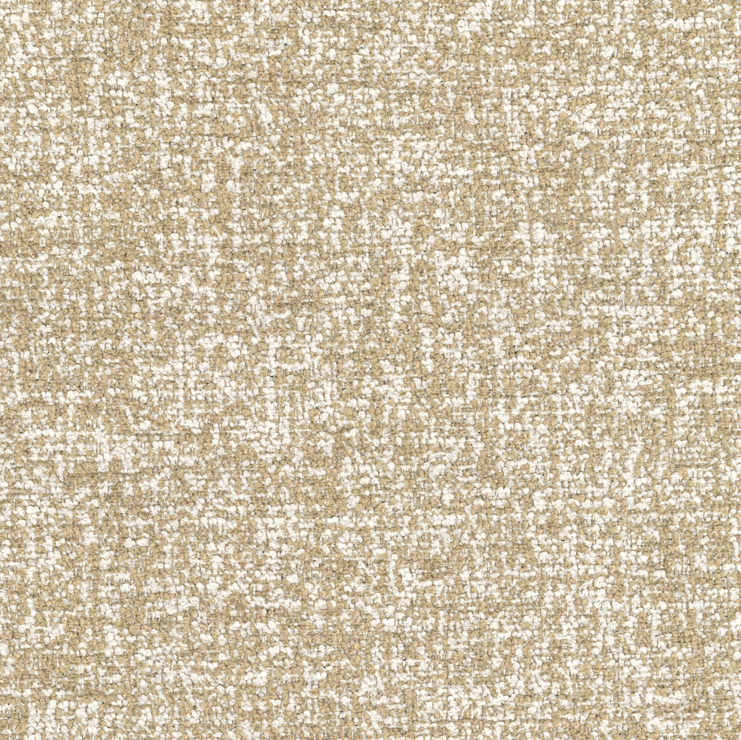 2322-03 Darsha - Golden Retriever Swatch