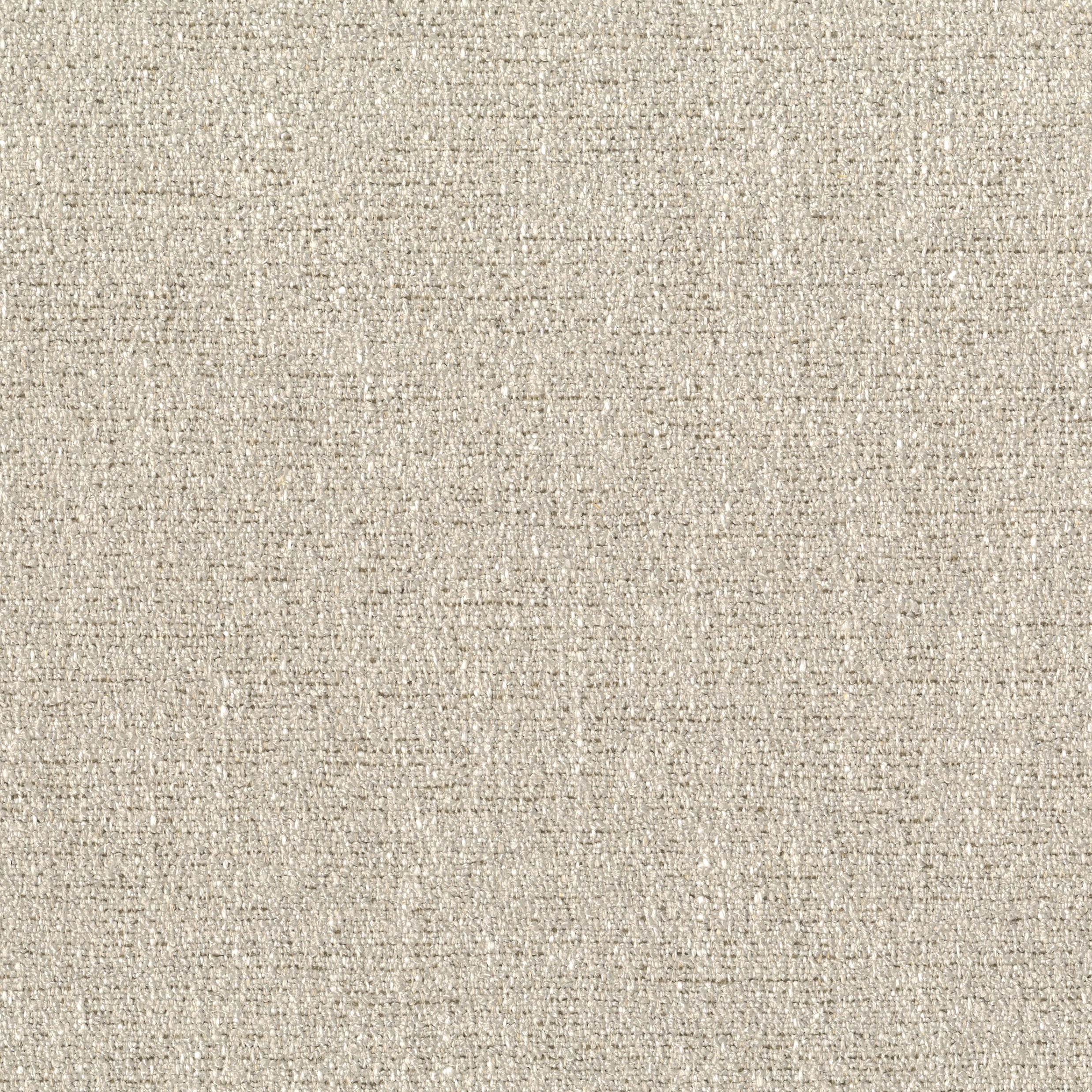 2323-01 Pemberley - Sculpture Swatch