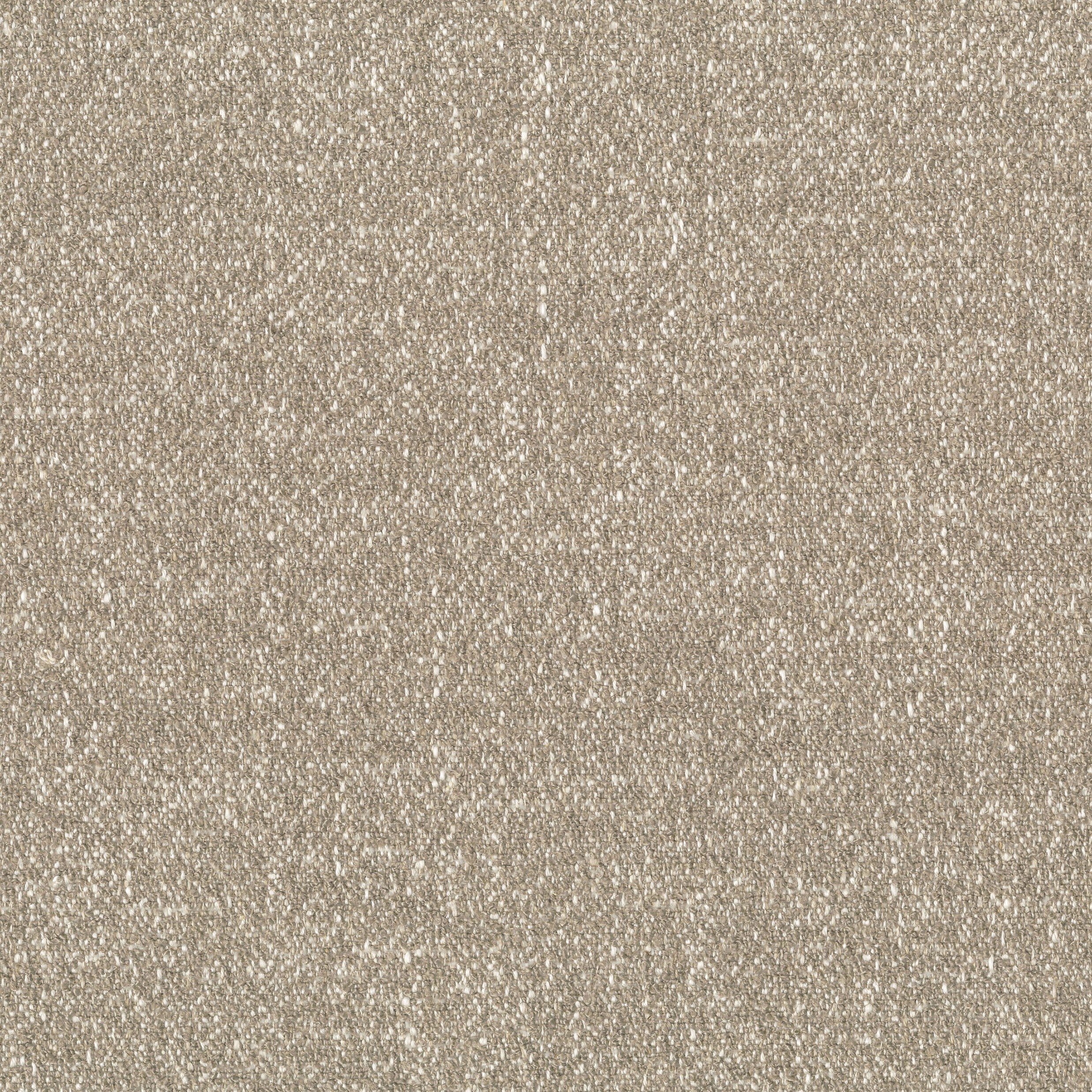 2323-02 Pemberley - Sand Dollar Swatch