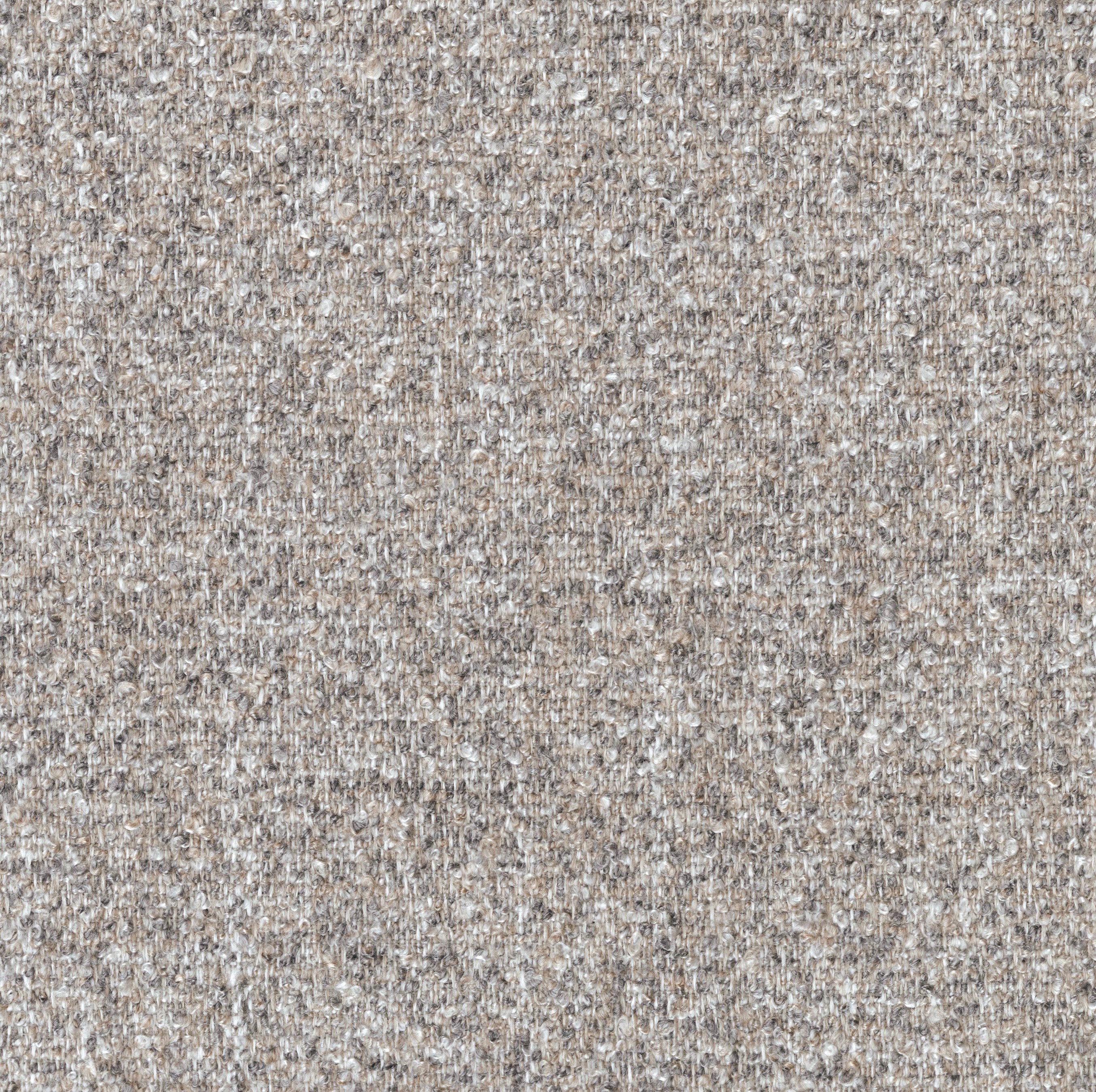 2353-05 Catnap - Grey Kingbird Swatch 