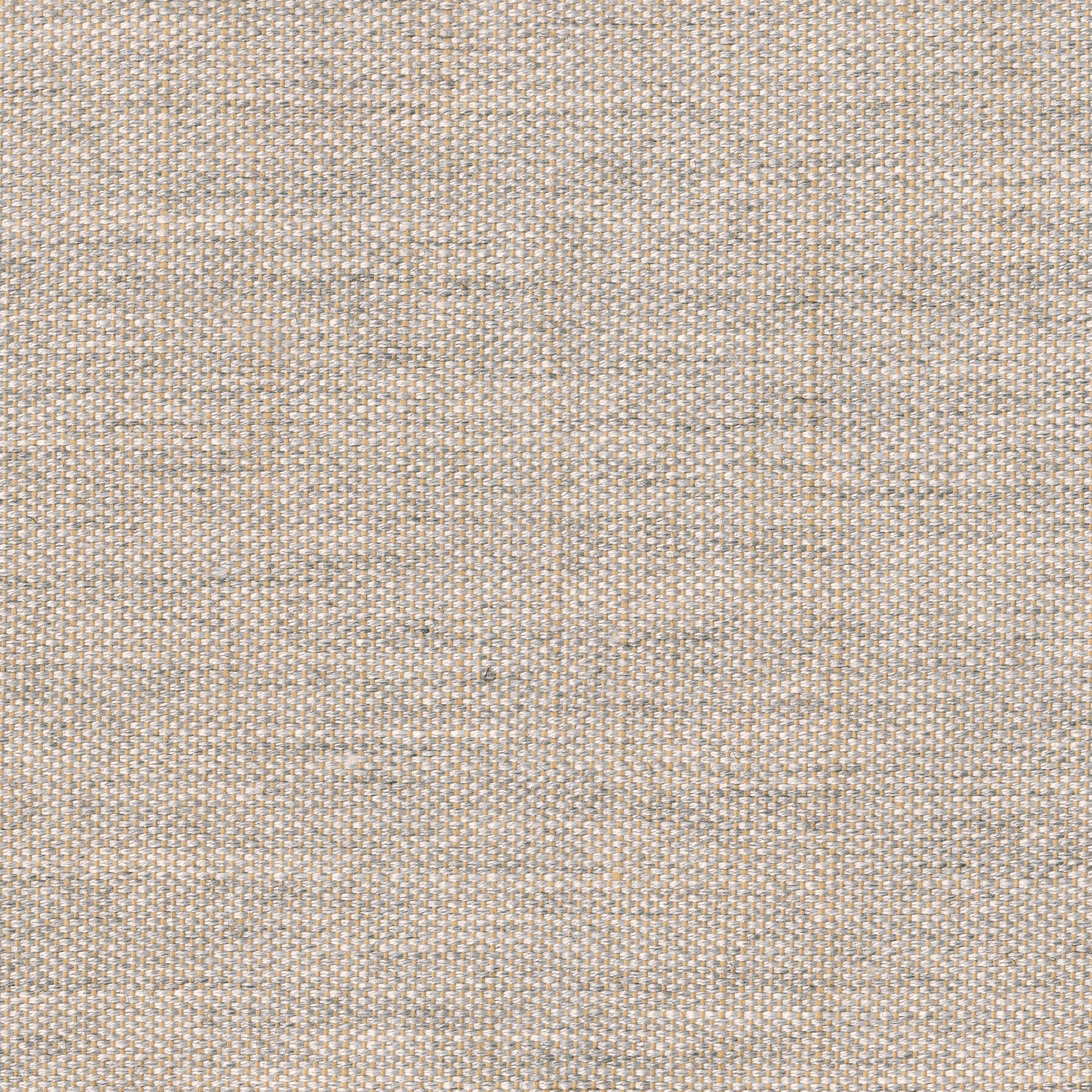 2602-03 Westwood - Coyote Swatch