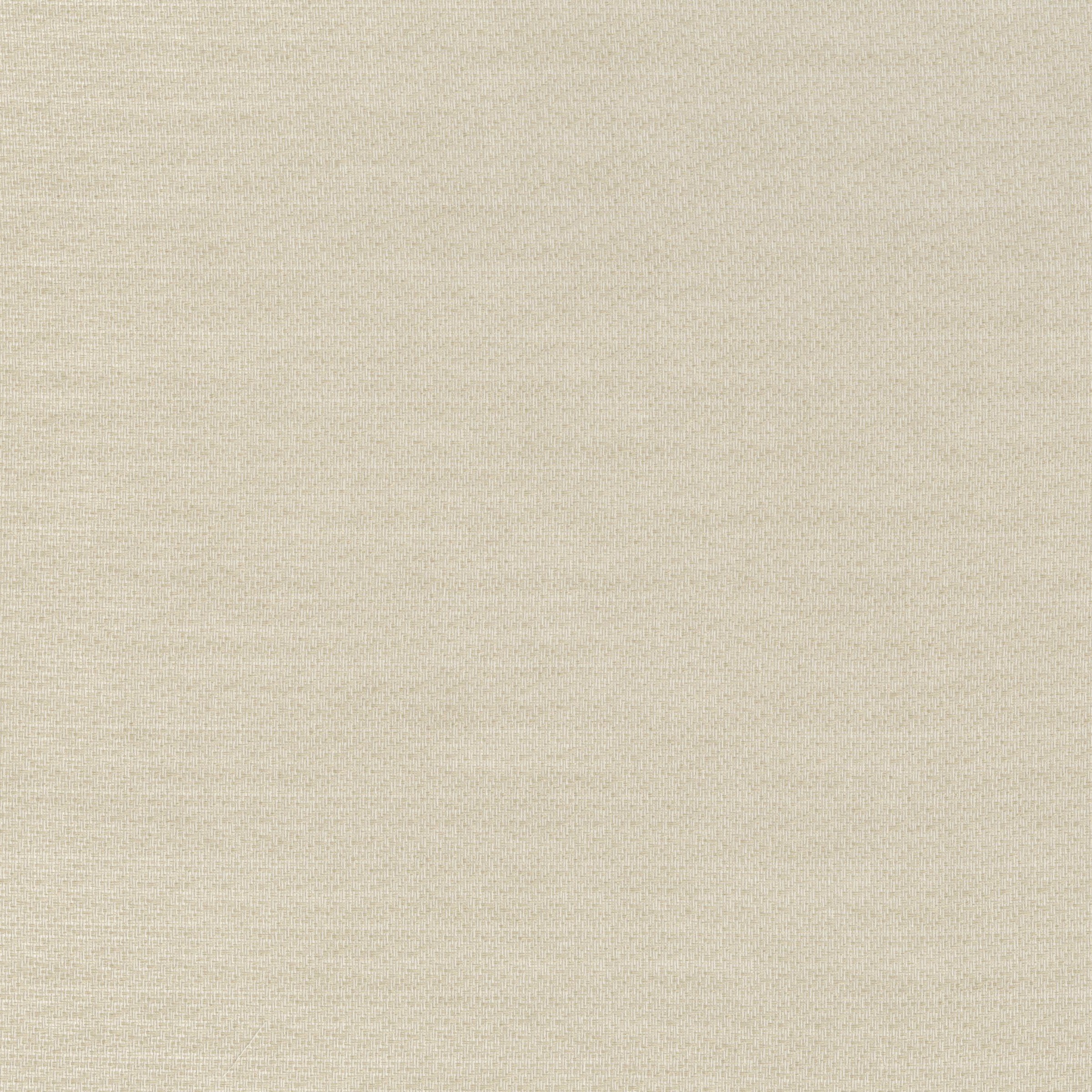 3105-02 Clairvoyant - Champagne Swatch