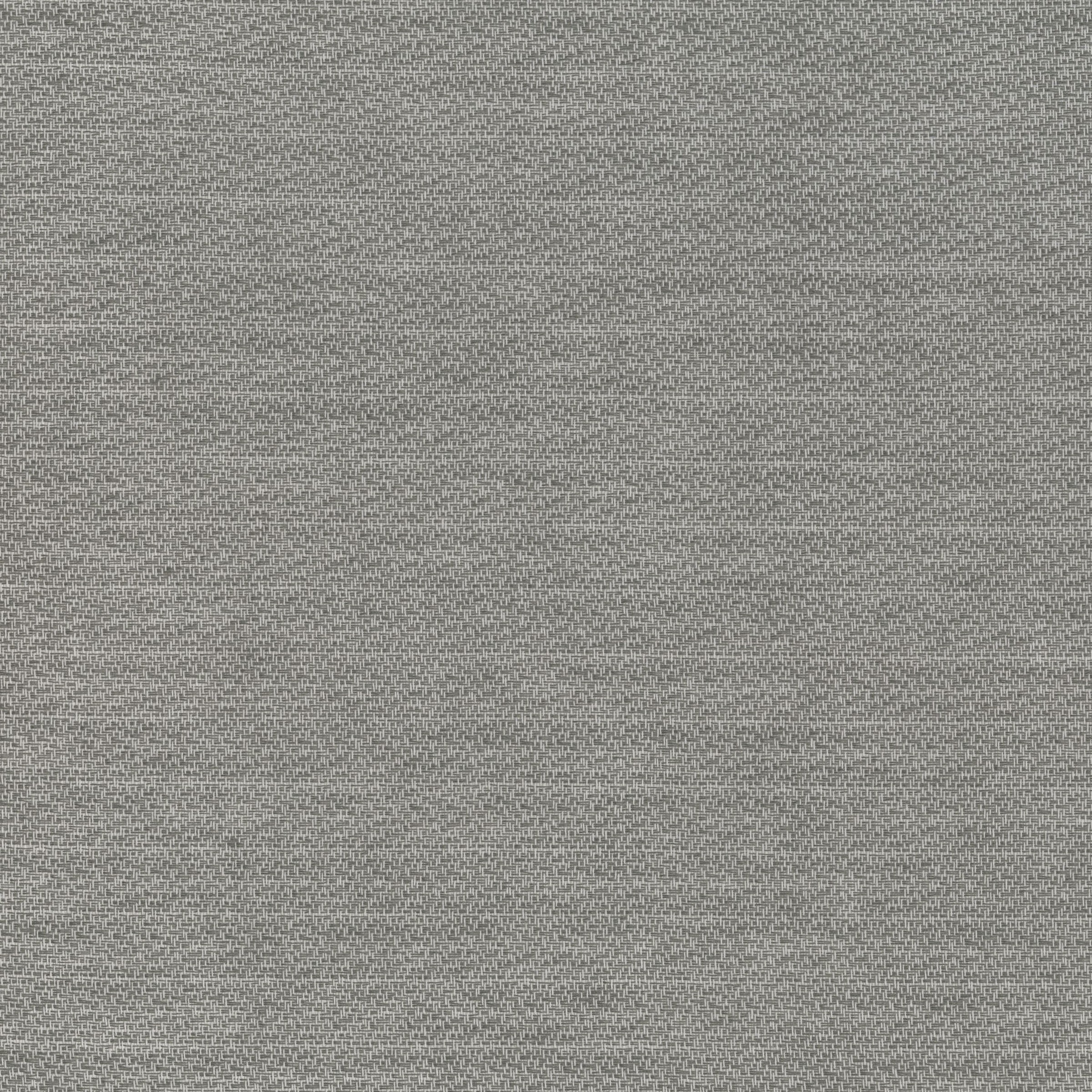 3105-03 Clairvoyant - Silverfox Swatch