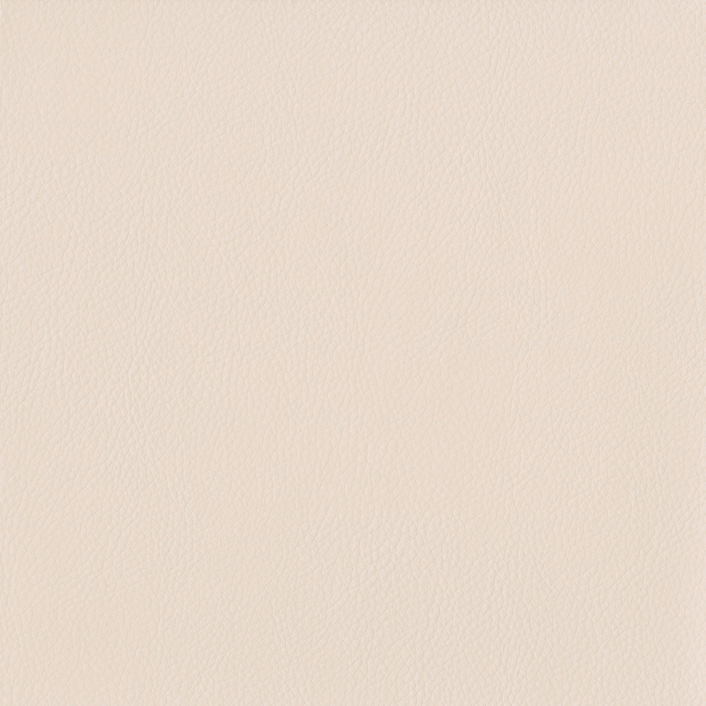 3981-02 Terrain - Flax Swatch