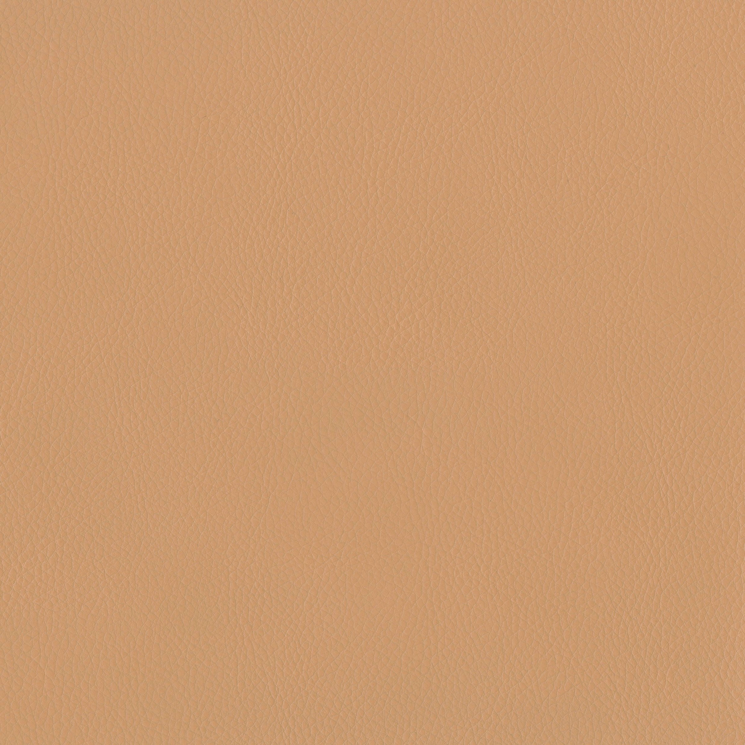 3981-04 Terrain - Ginger Swatch