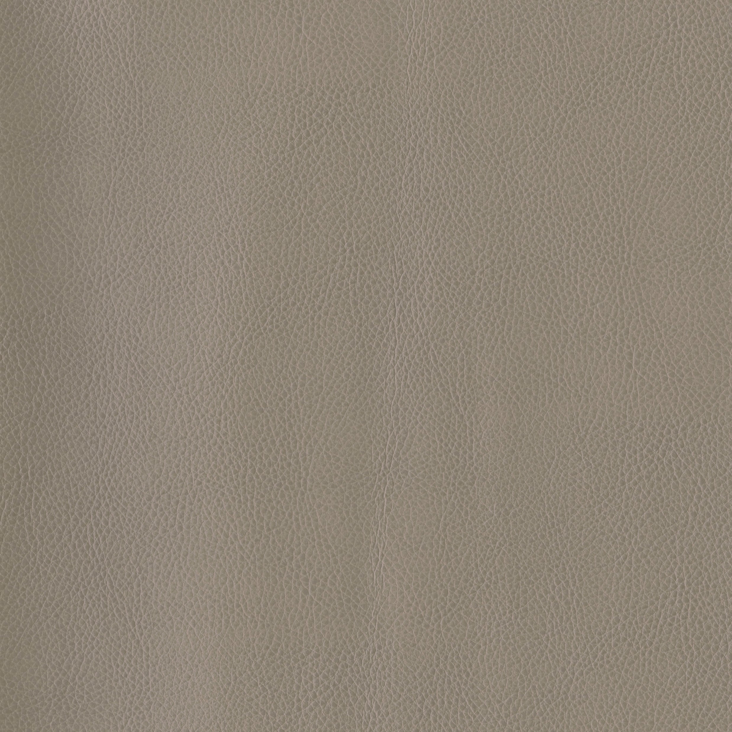 3981-08 Terrain - Spanish Moss Swatch