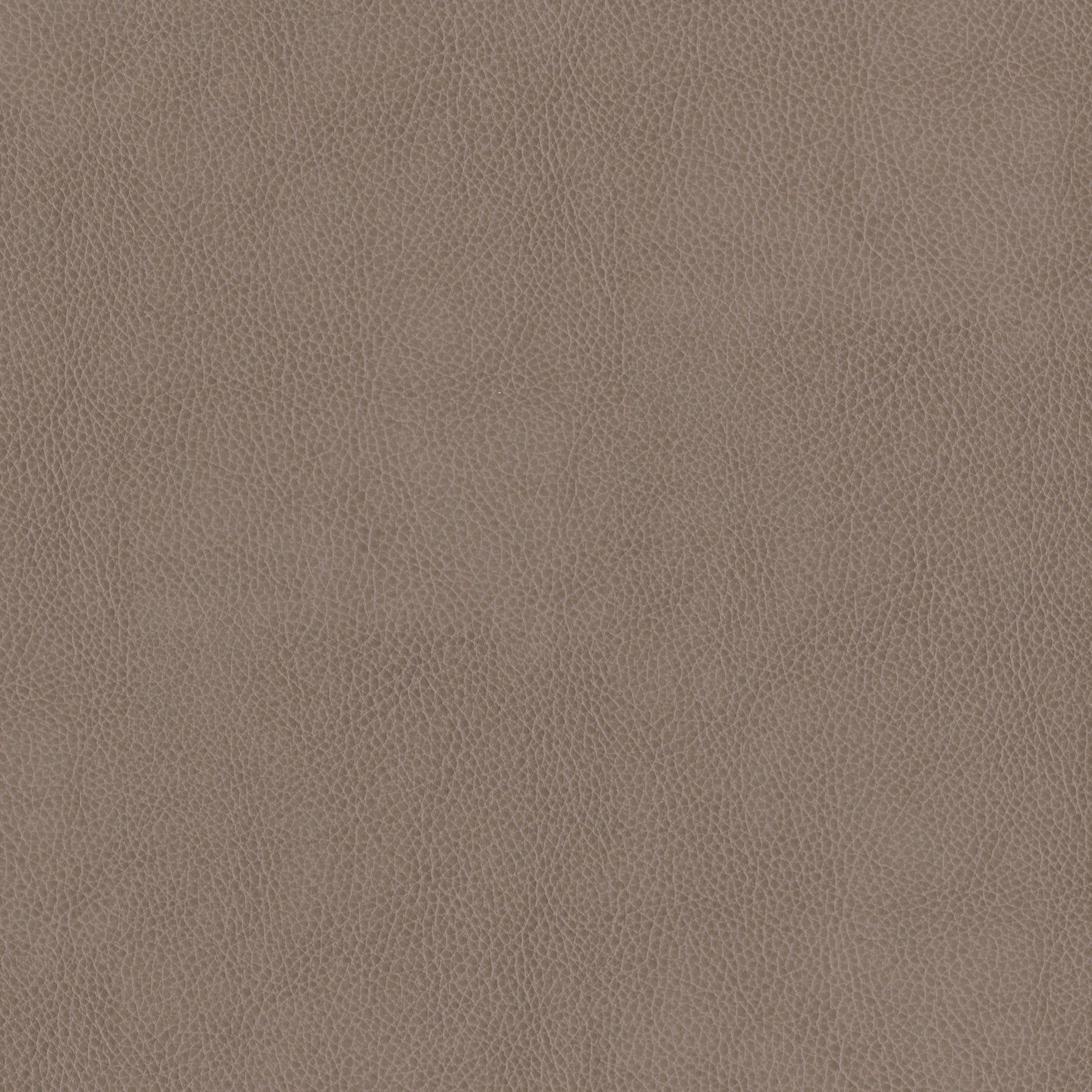 3981-09 Terrain - Portobello Swatch