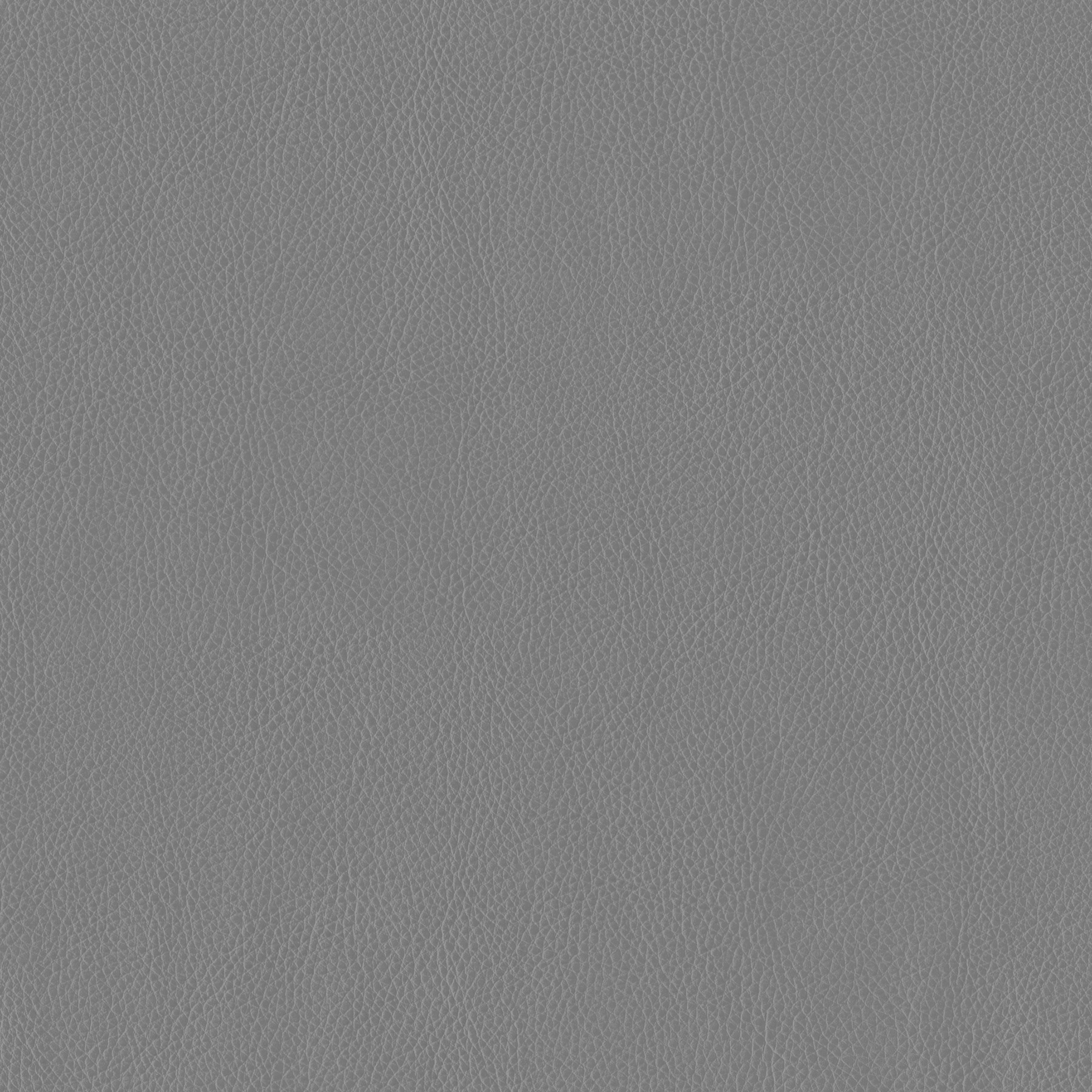 3981-10 Terrain - Elephant Swatch