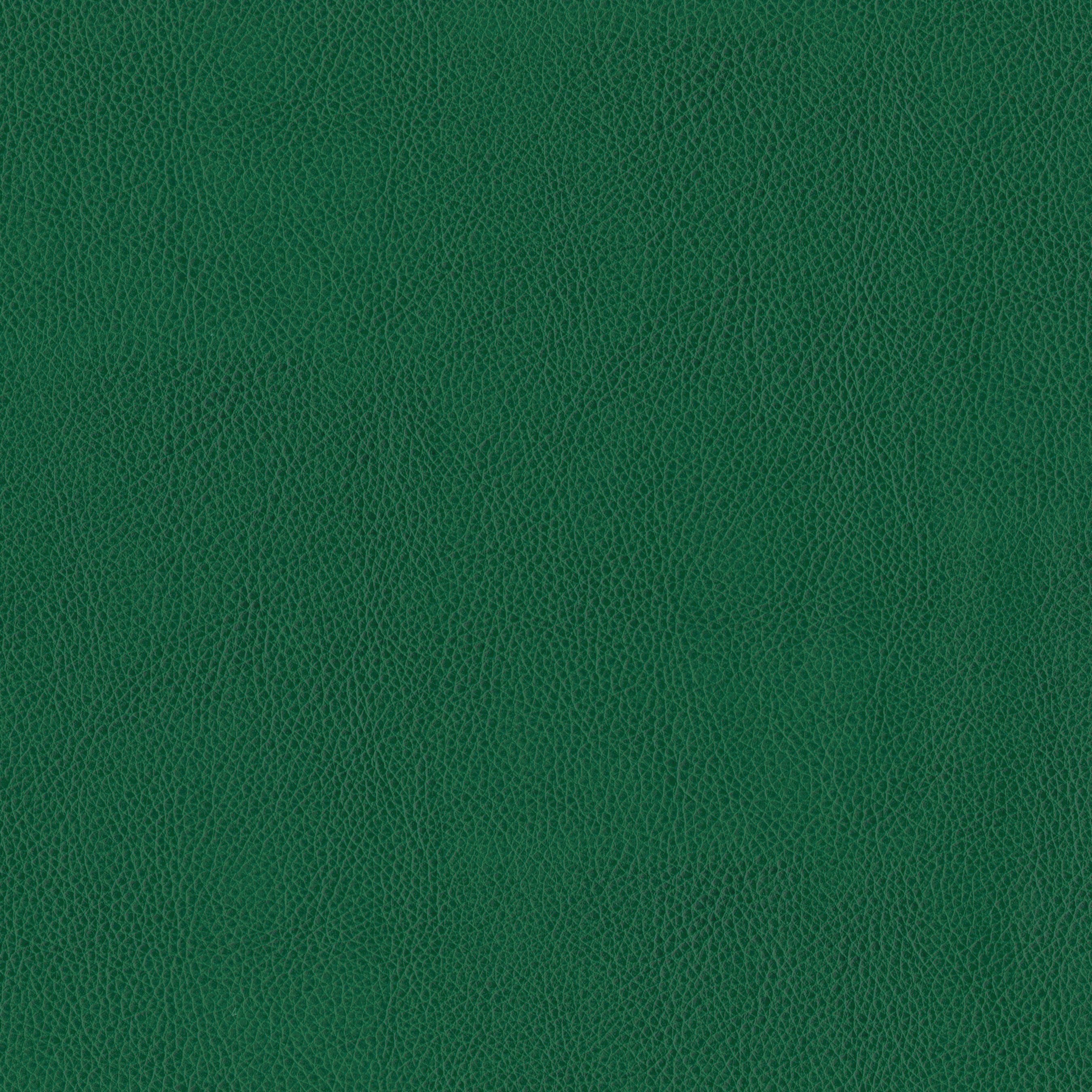 3981-11 Terrain - Forest Swatch