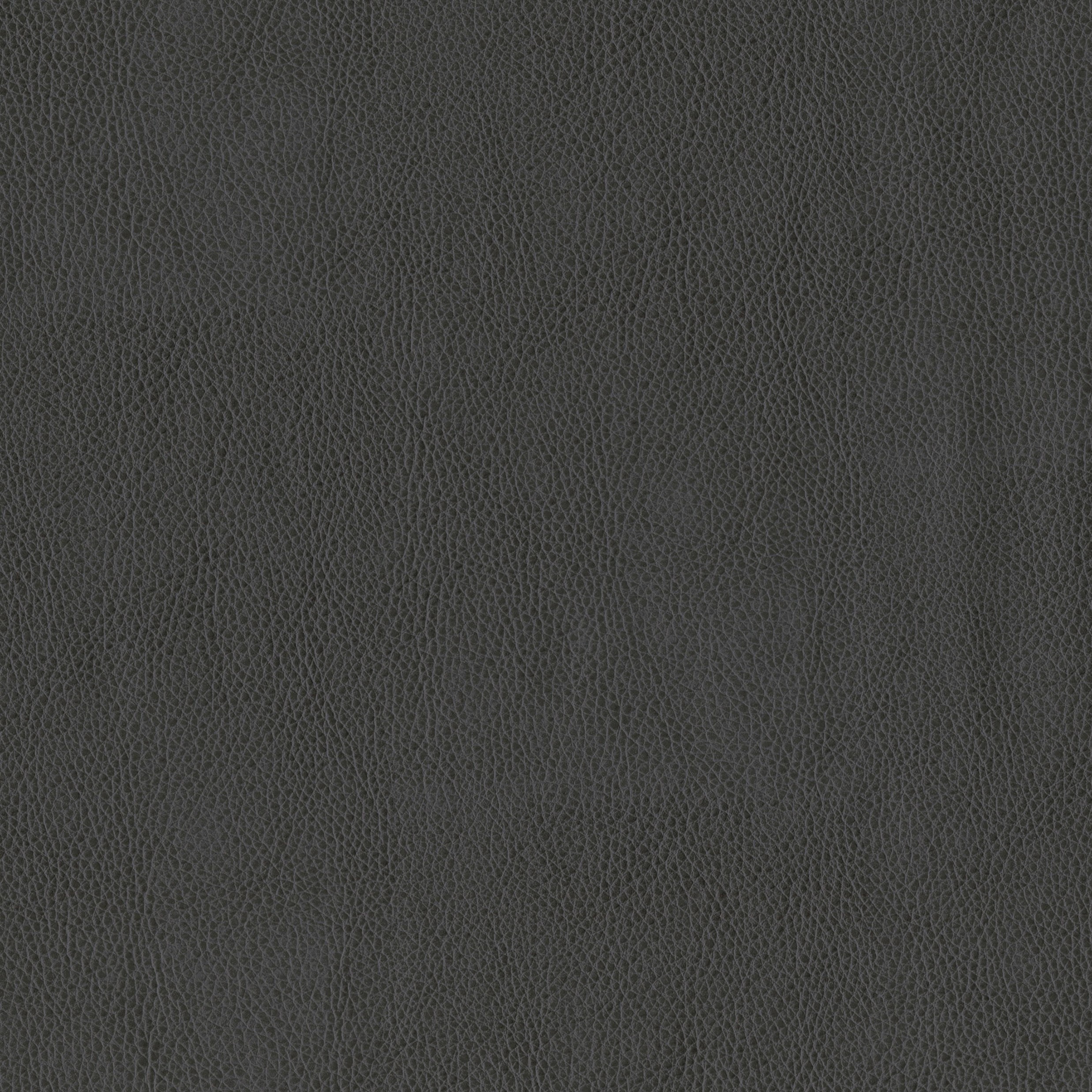 3981-13 Terrain - Almost Black Swatch