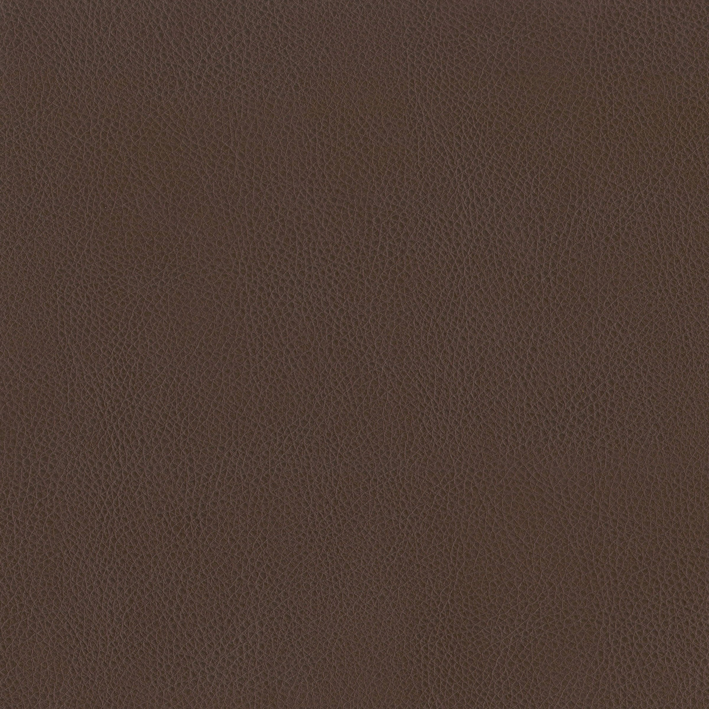 3981-14 Terrain - Truffle Swatch