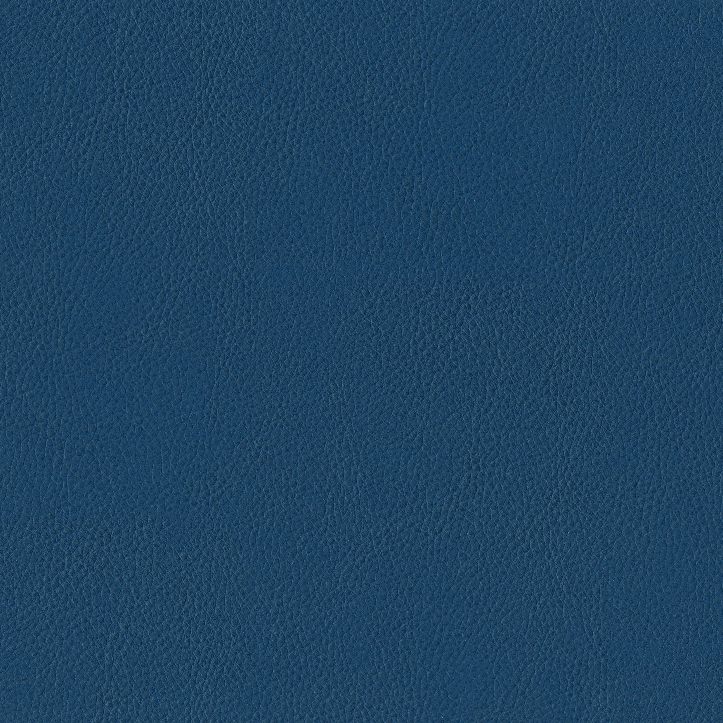 3981-15 Terrain - Marine Swatch