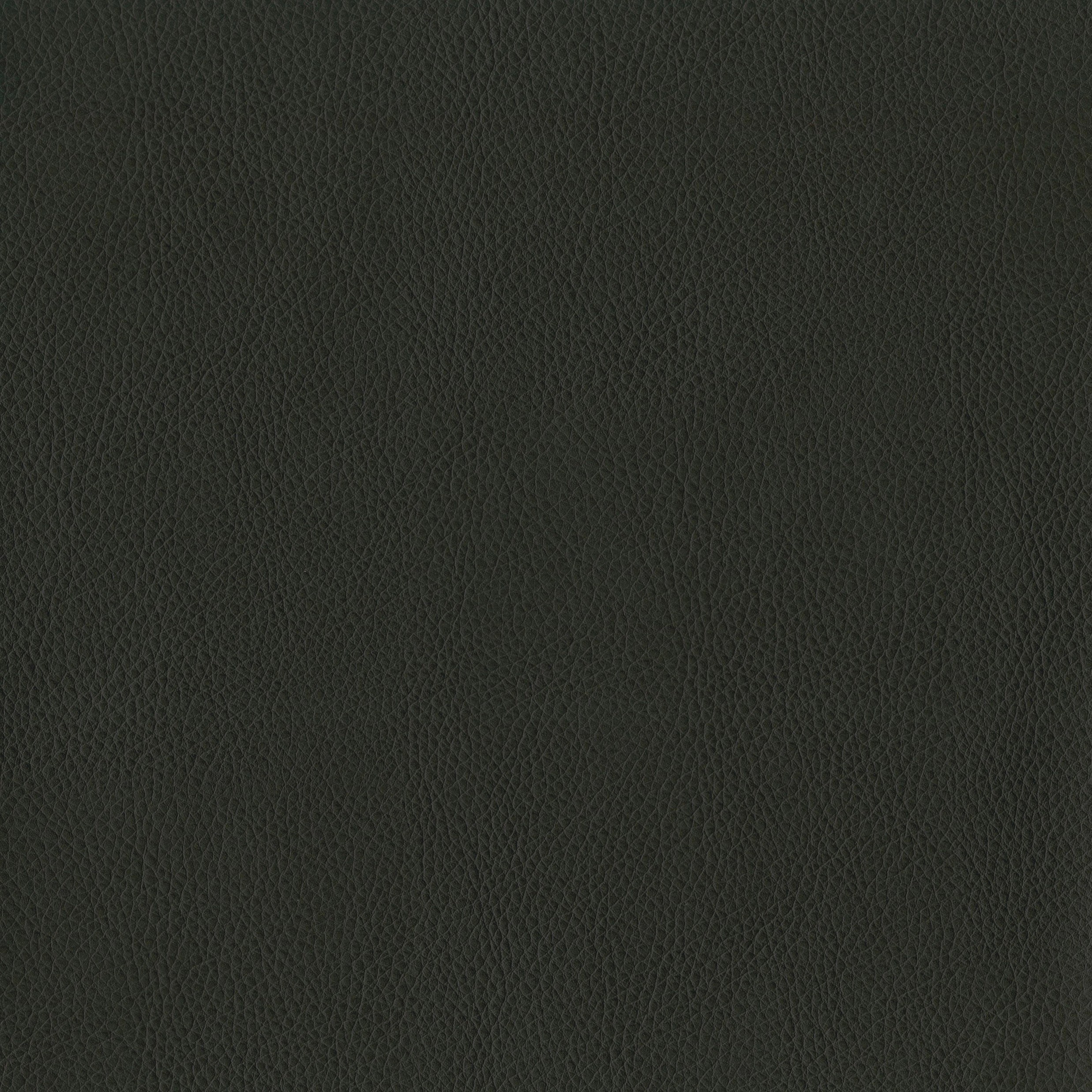 3981-16 Terrain - Noir Swatch
