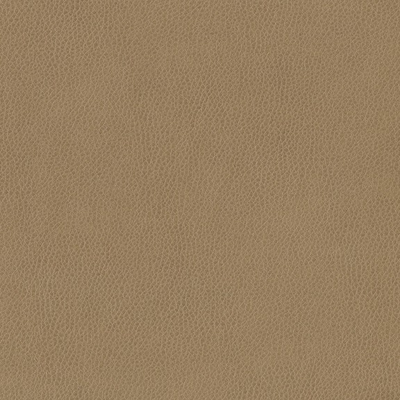 3991-06 Aerial - Butterscotch Swatch
