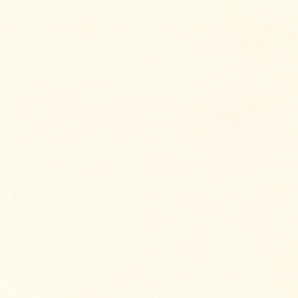4079-01 Giza - Arctic White Swatch