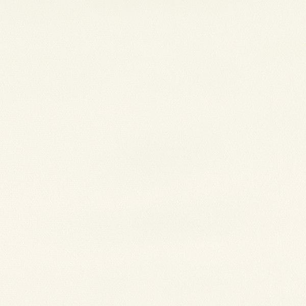 4237-01 Lutra - White Azalea Swatch