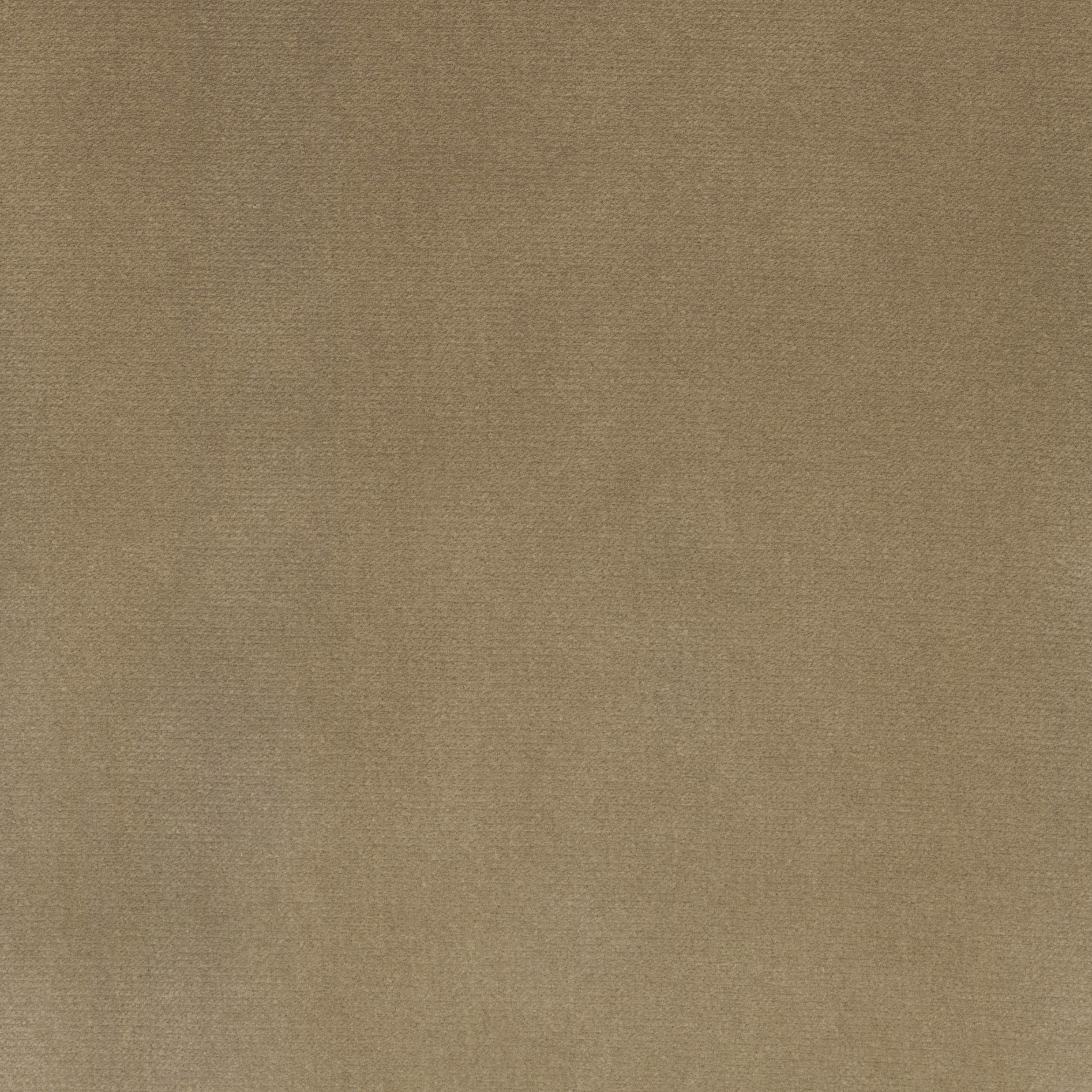 4237-02 Lutra - Oak Swatch