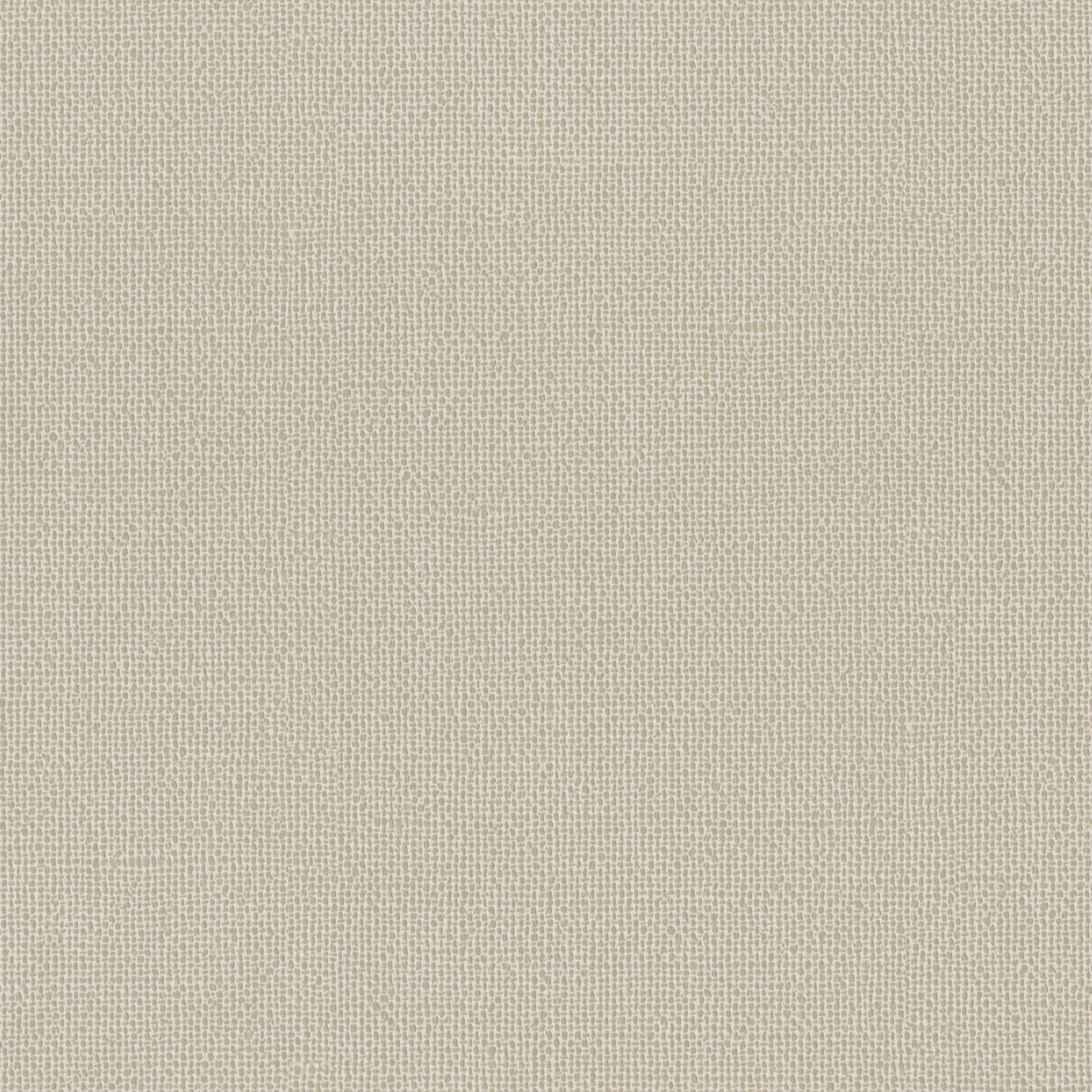 4245-02 Hush - Toasted Coconut Swatch