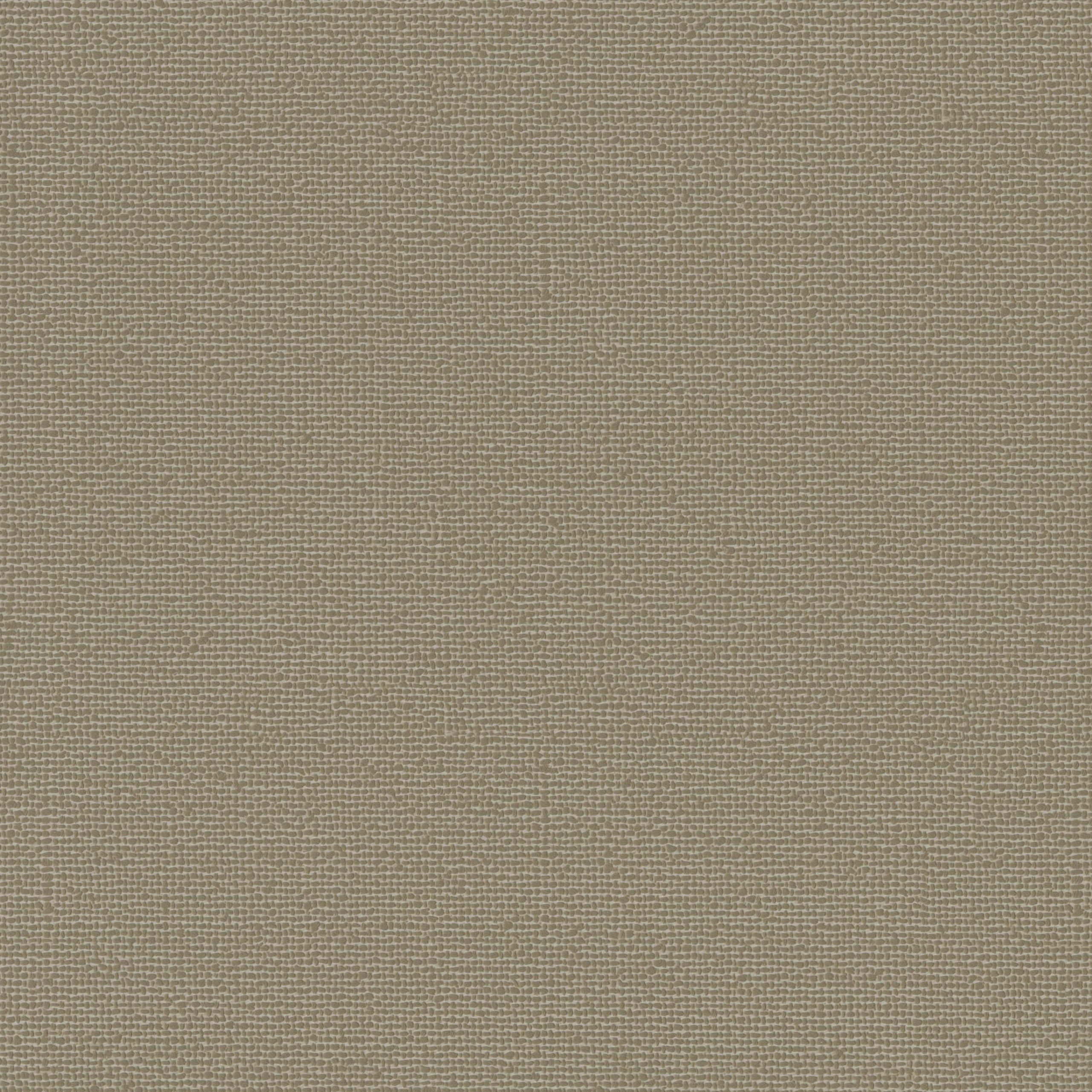 4245-06 Hush - Lichen Bark Swatch