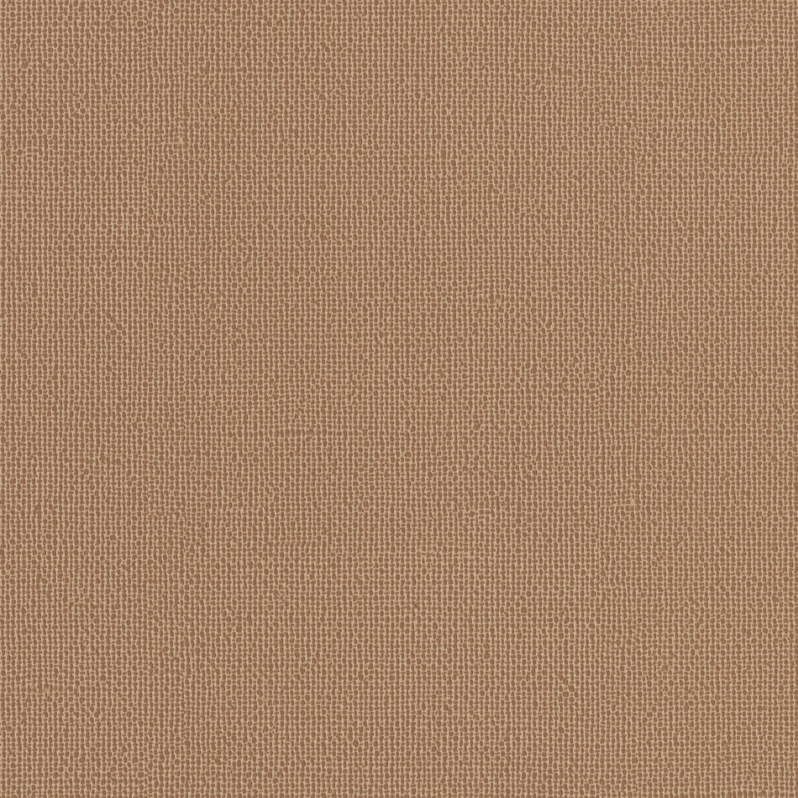 4245-08 Hush - Tawny Rose Swatch