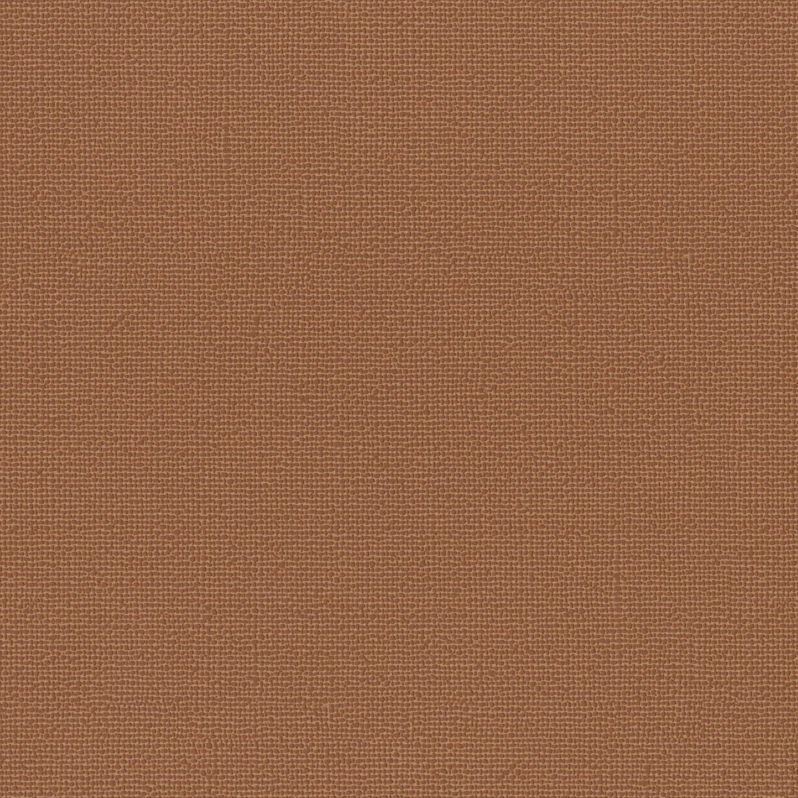 4245-09 Hush - Honey Sriracha Swatch