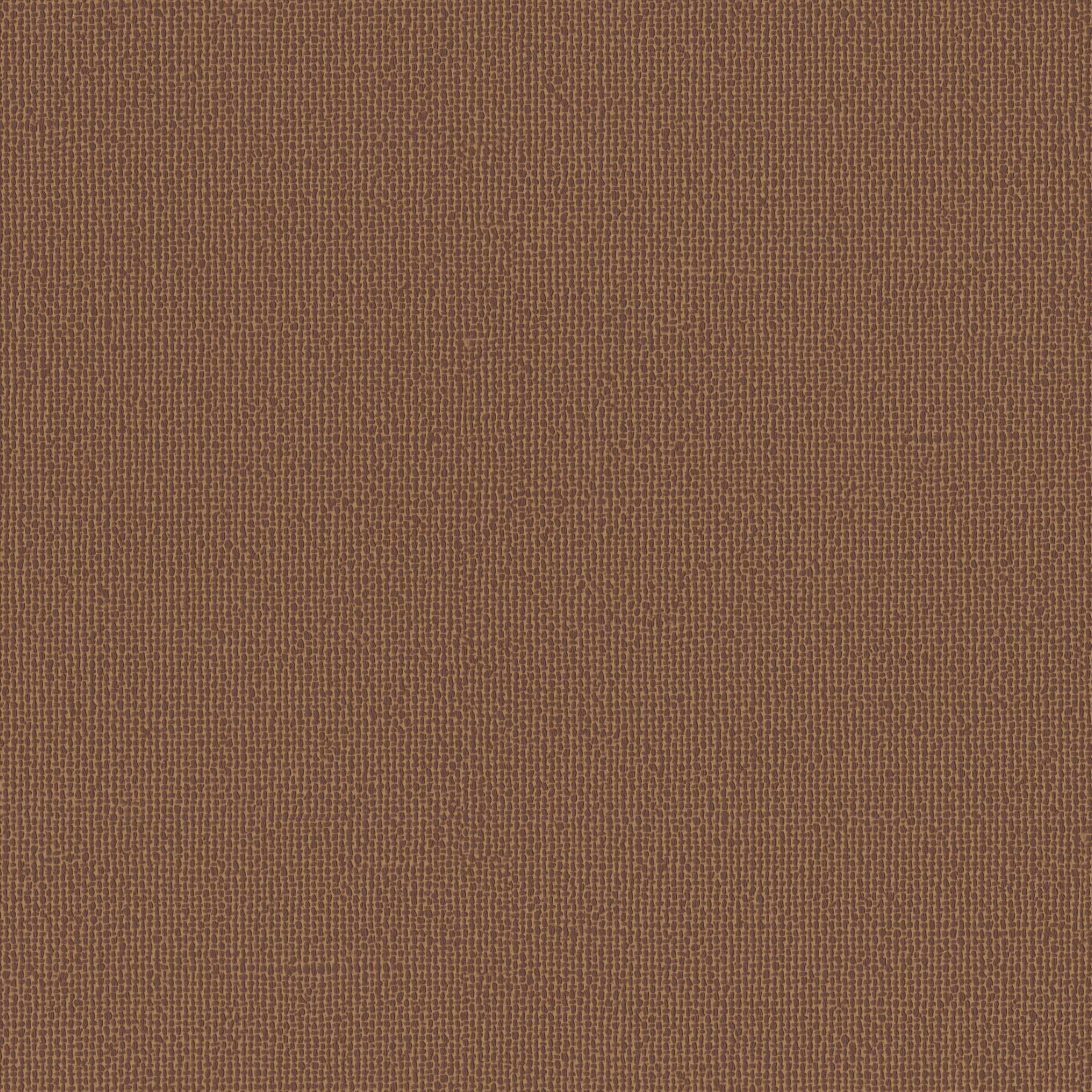 4245-10 Hush - Burnt Orange Swatch
