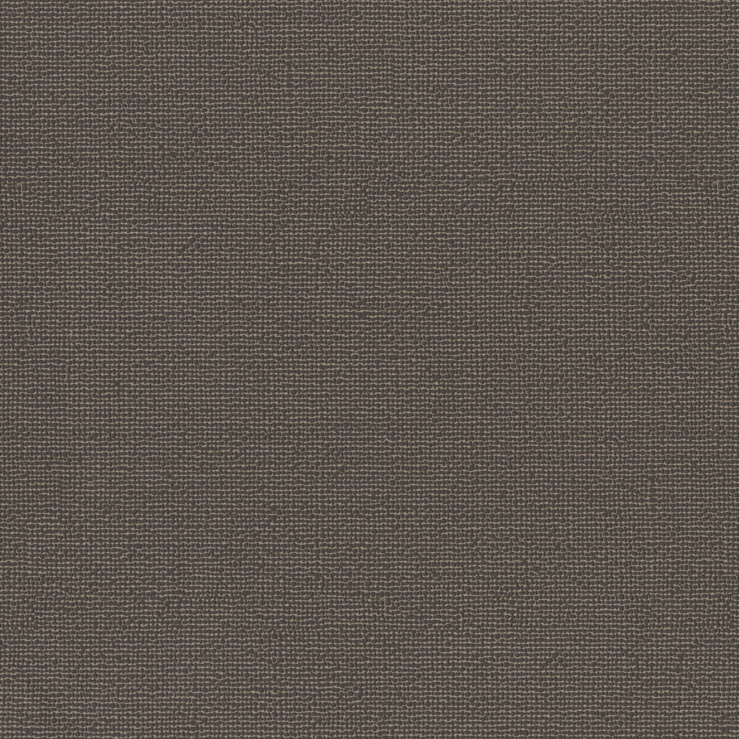 4245-15 Hush - Pinecone Swatch