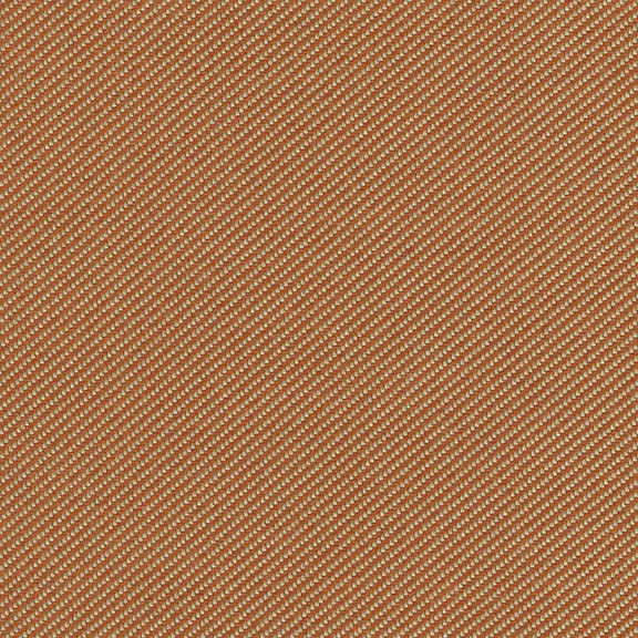 4260-06 Bhramari - Peach Cobbler Swatch
