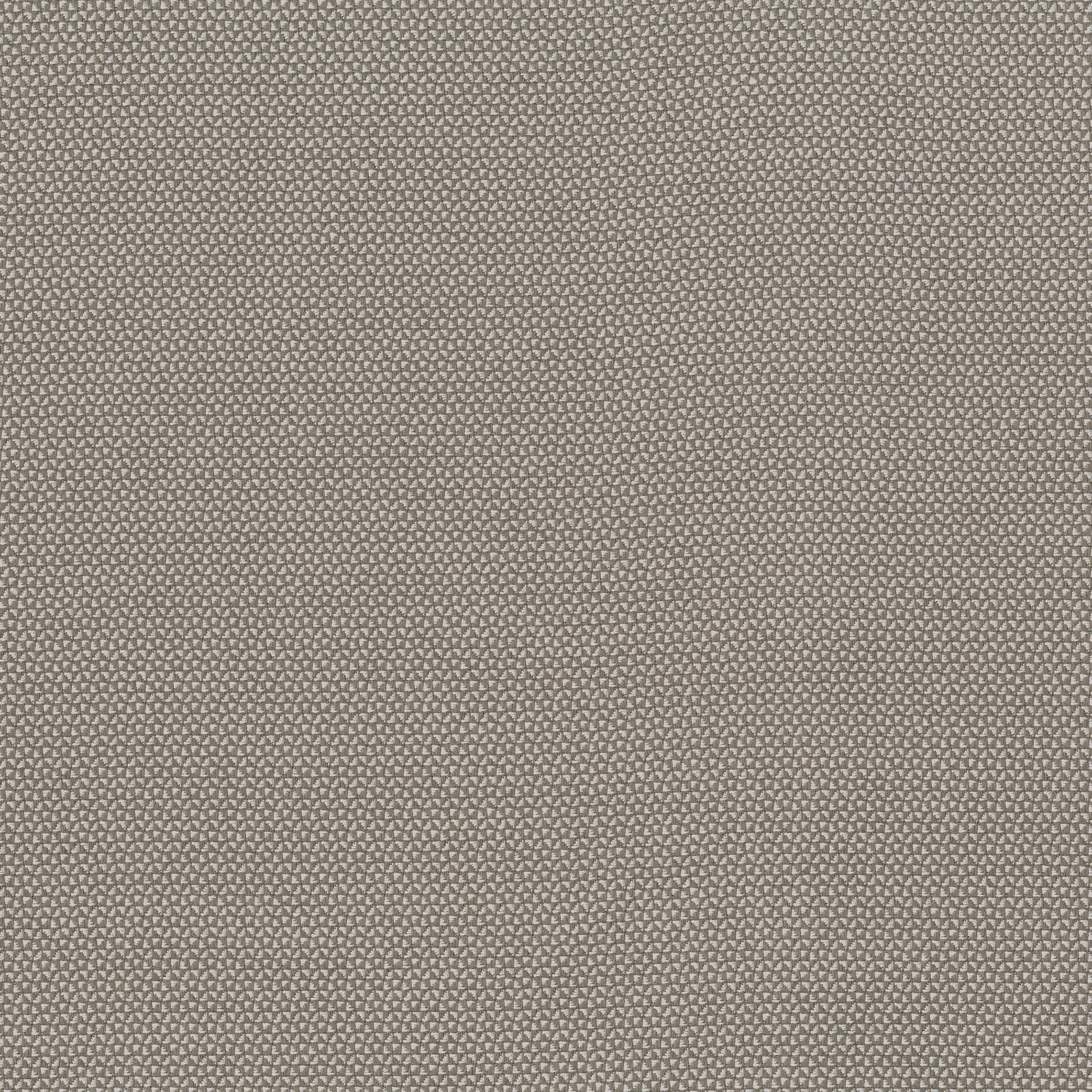 4283-03 Checkmate - Orchard Swatch