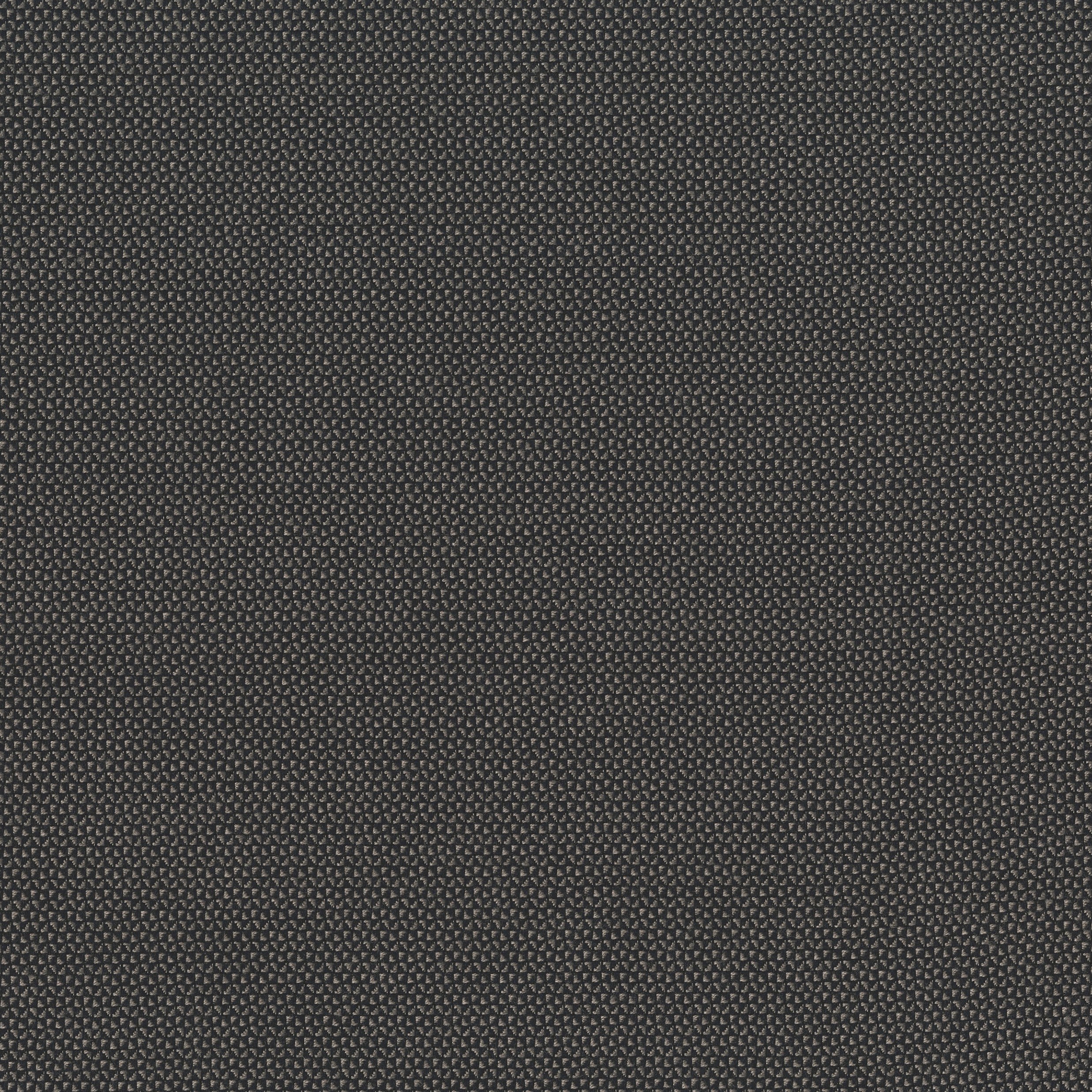 4283-05 Checkmate - Liquorice Swatch