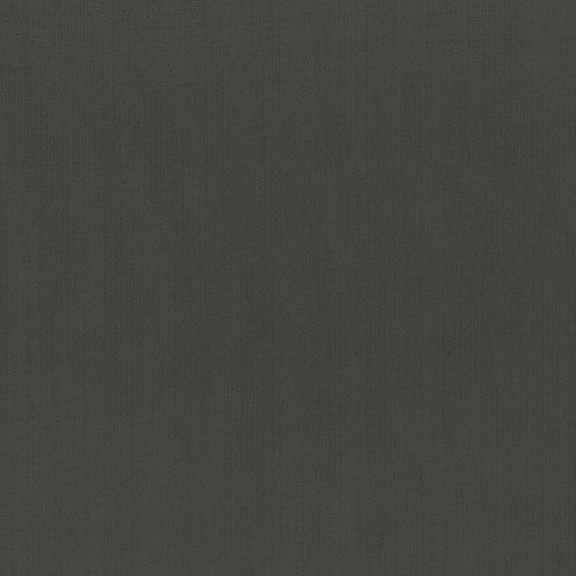 4290-13 Oracle - Graphite Swatch
