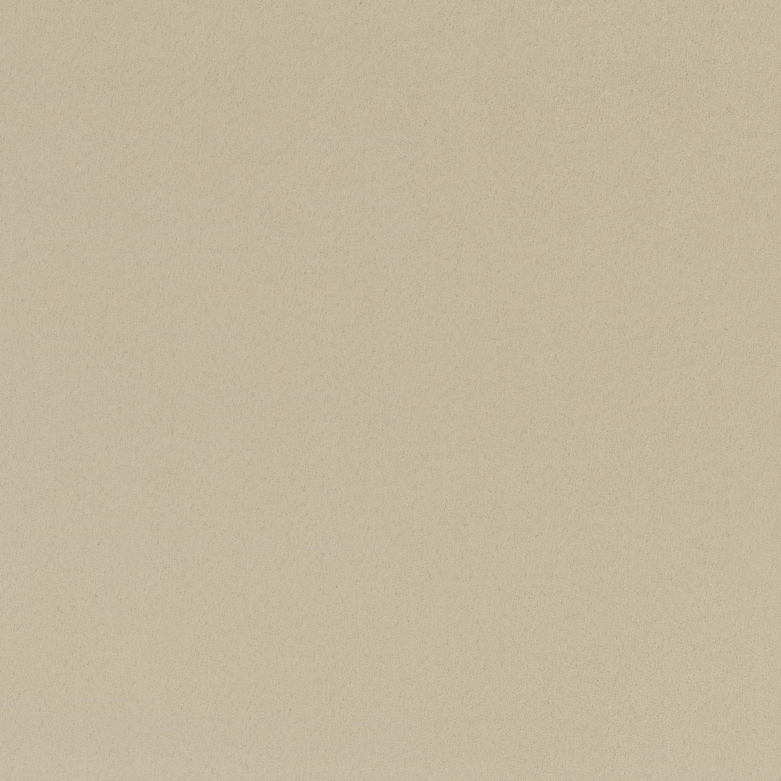 4295-01 Cirrus - Charolais Cattle Swatch