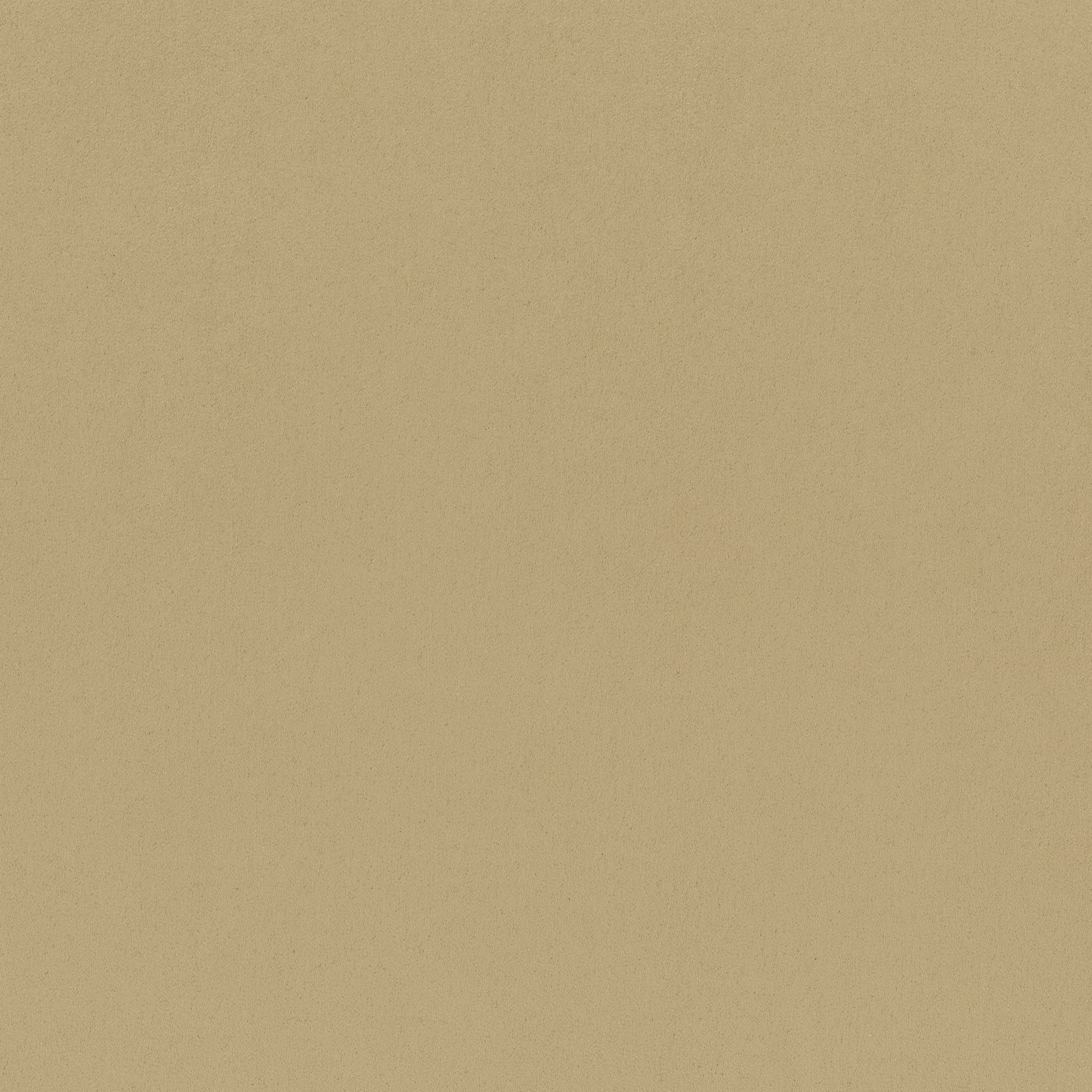 4295-04 Cirrus - Moccasin Swatch