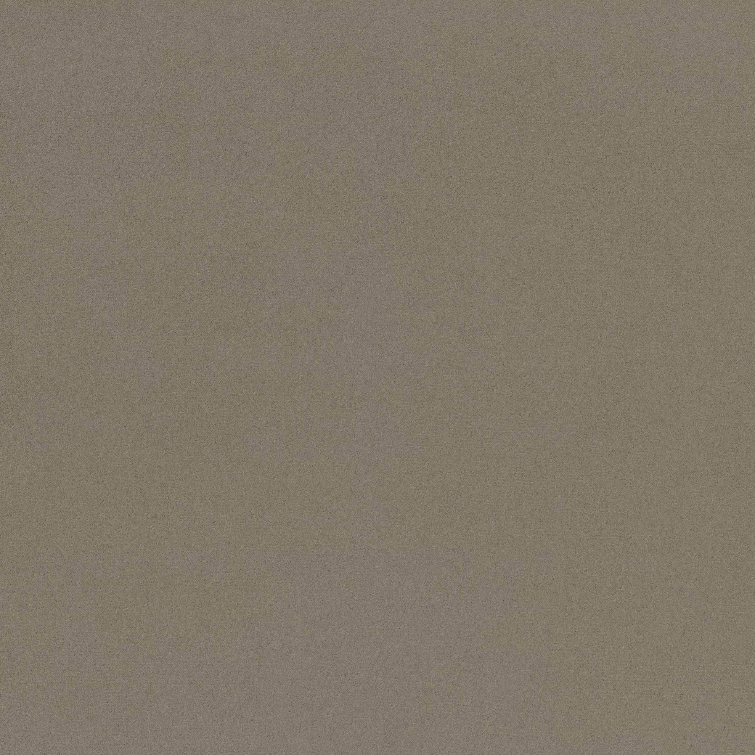 4295-08 Cirrus - Wildebeest Swatch