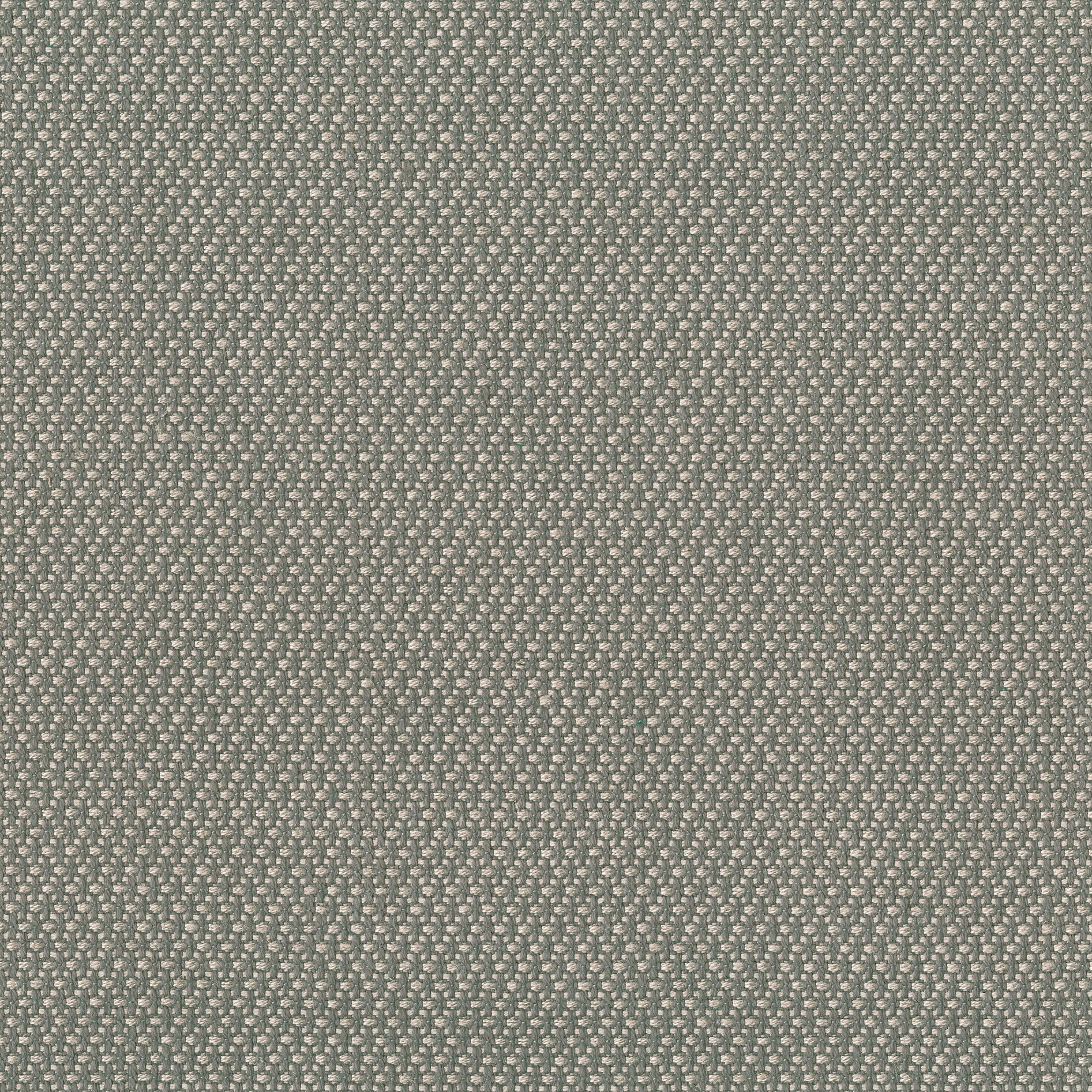 4322-15 Quickstep - Ash Swatch