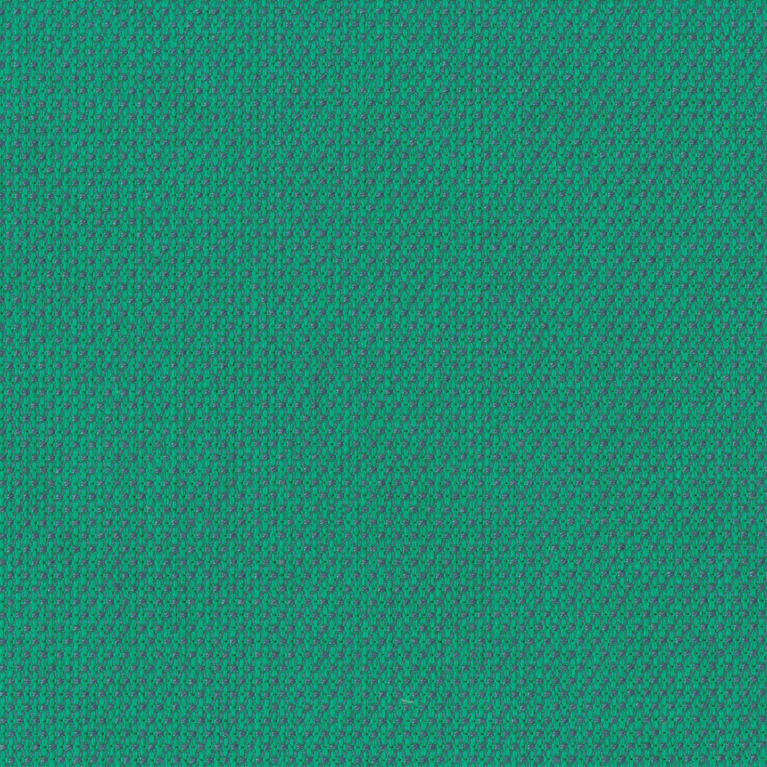 4322-16 Quickstep - Mallard Swatch