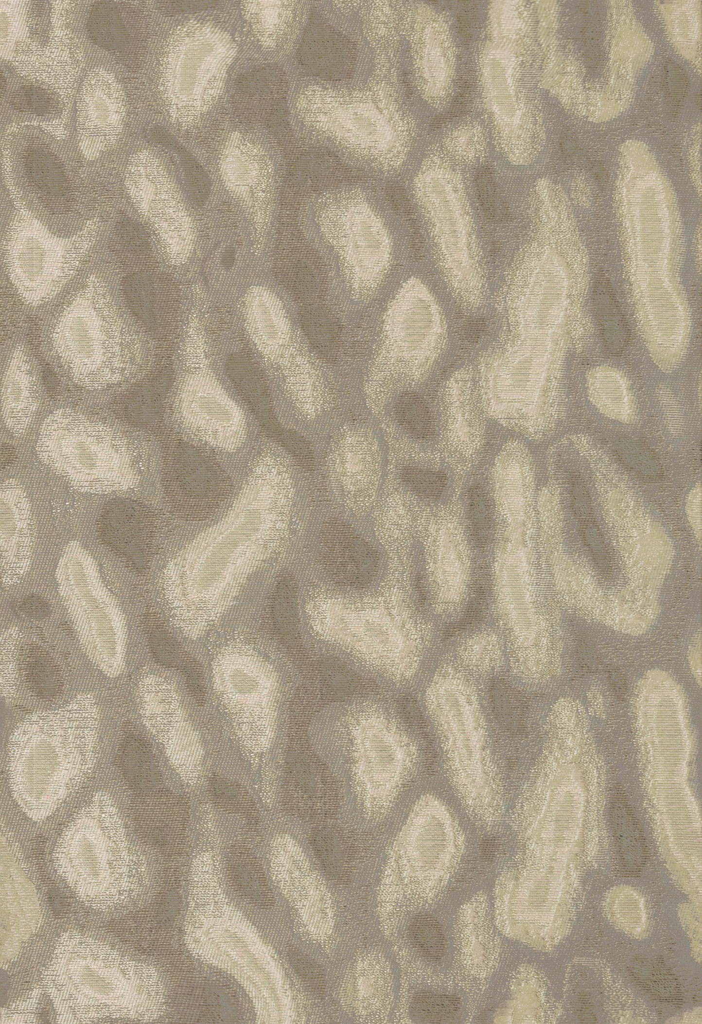 4591-03 Dorado - Silver Spoon Full Repeat