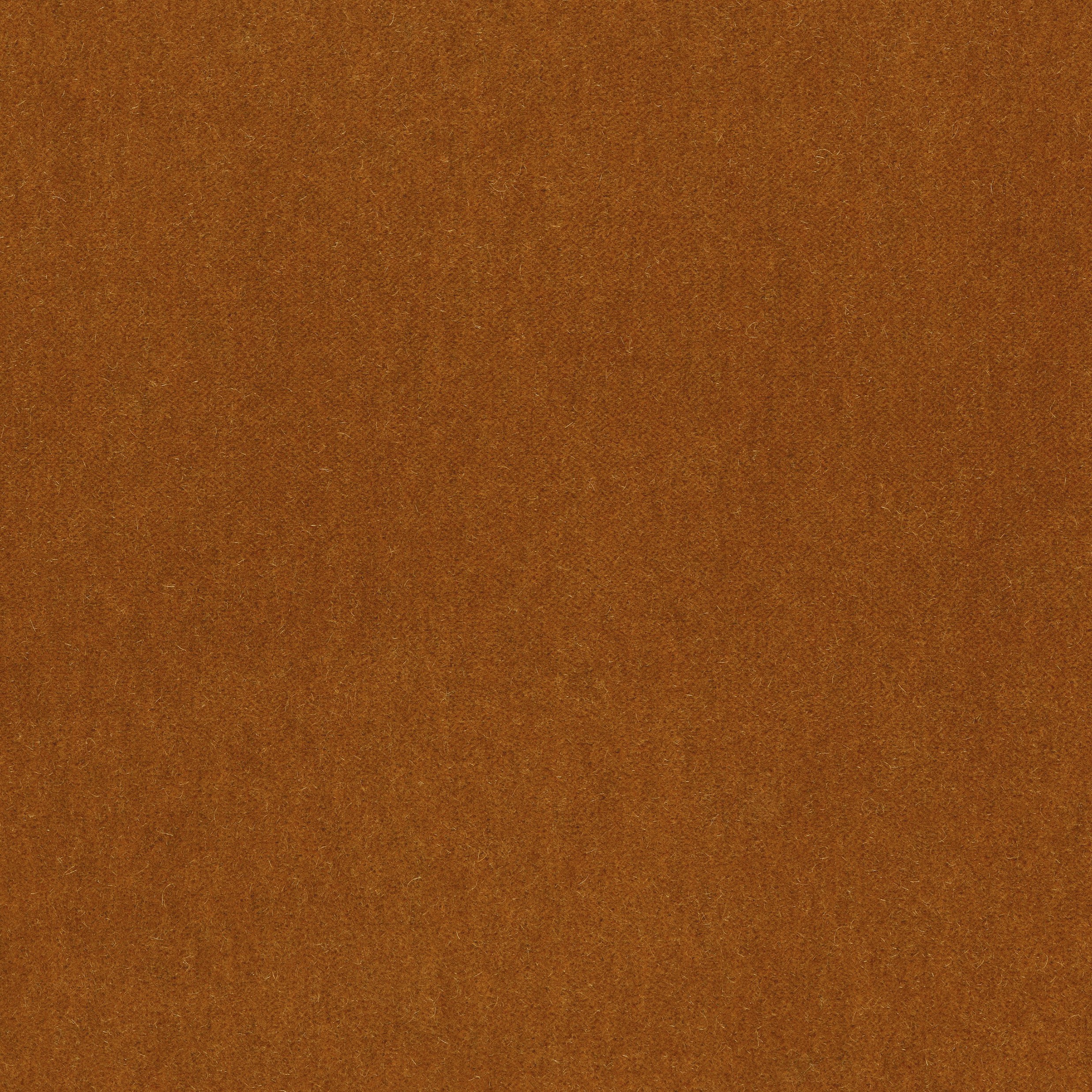 5515-08 Empire - Amber Swatch