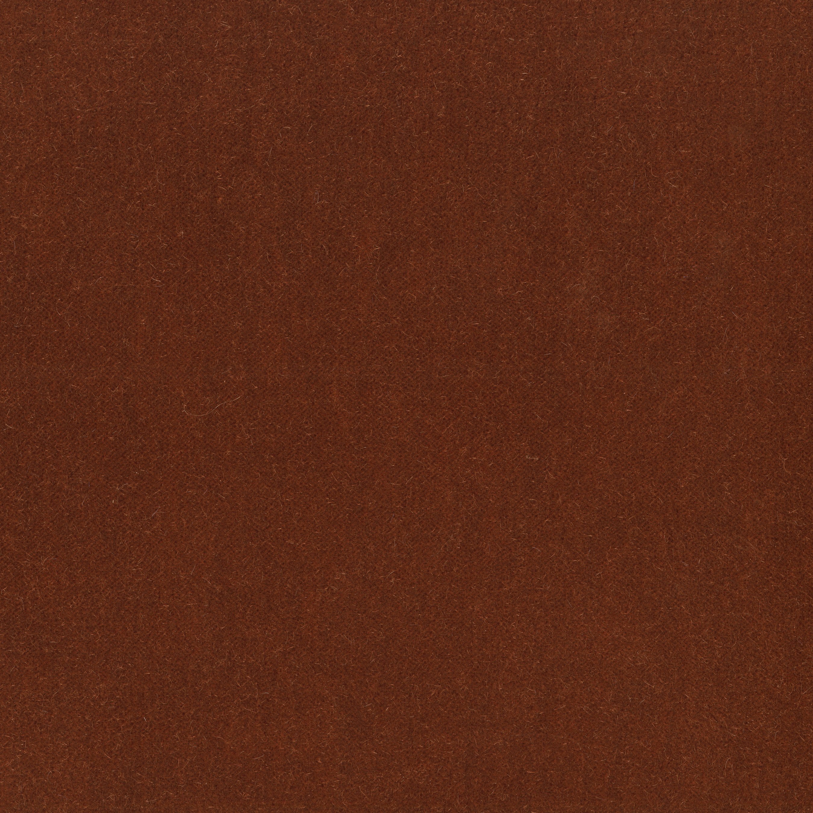 5515-11 Empire - Burnt Orange Swatch