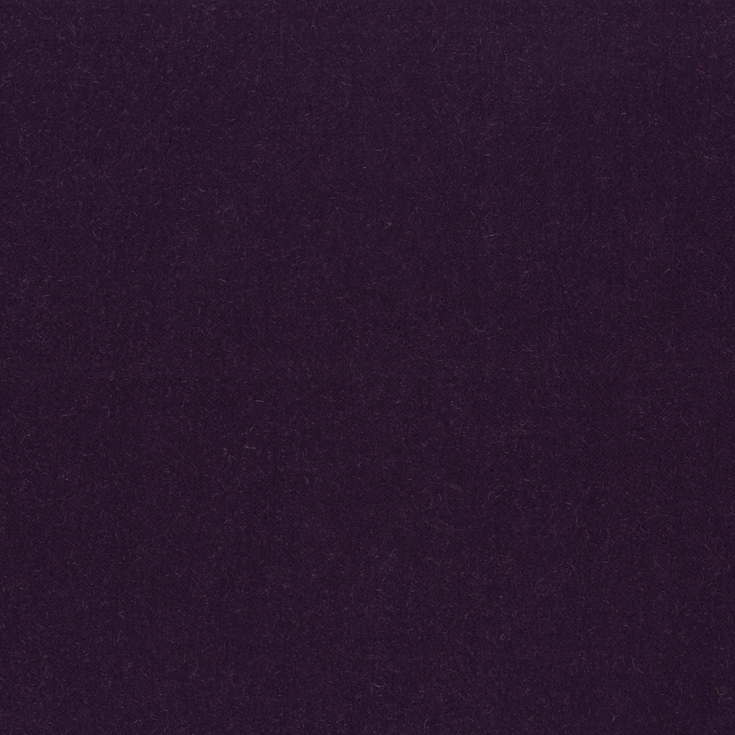 5515-14 Empire - Concord Grape Swatch