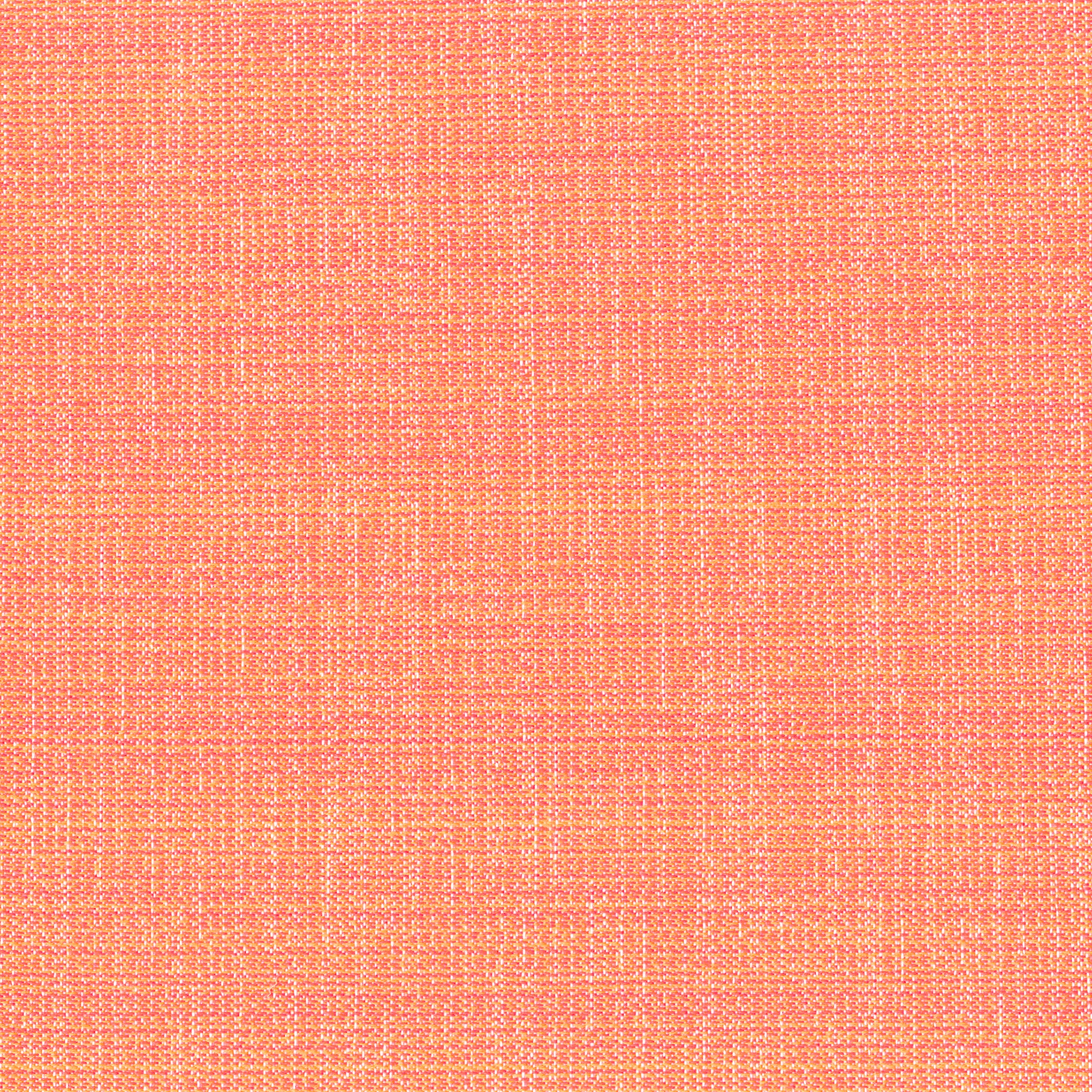 5840-09 Palette - Clementine Swatch