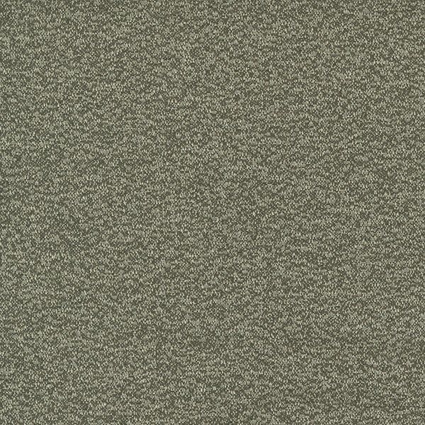 6562-06 Intuition - Iron Swatch